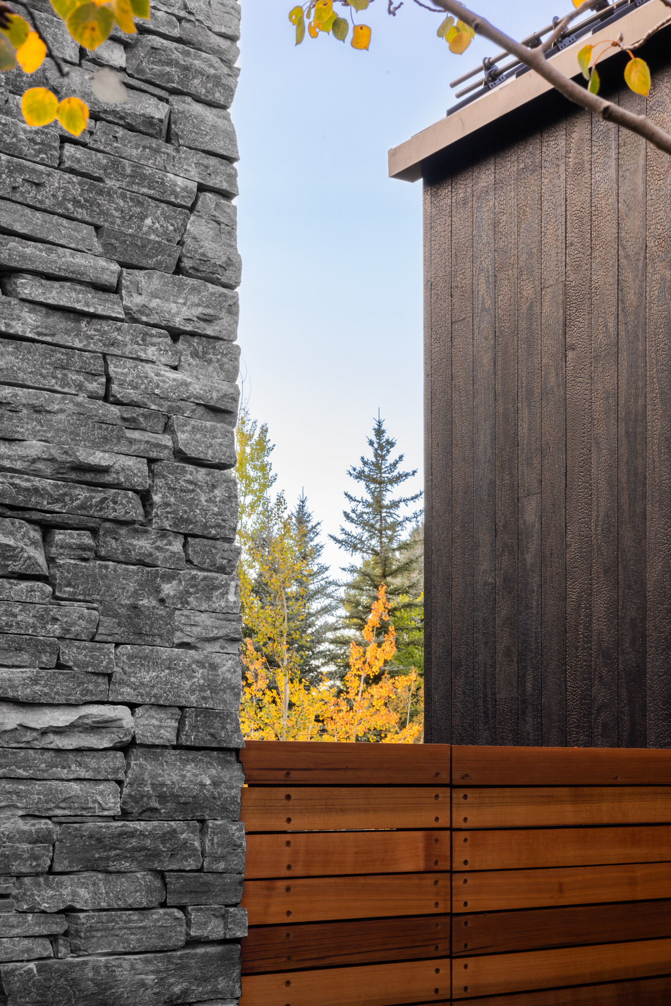 tz (8).jpg tz (8).jpg