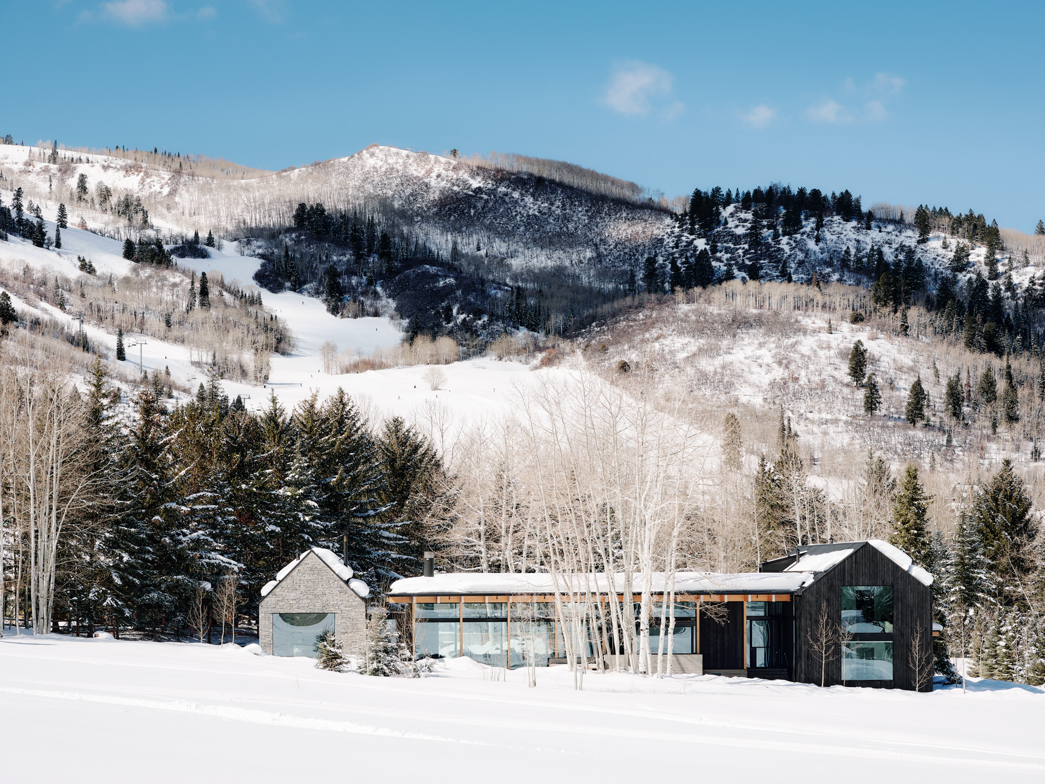 tz (10).jpg tz (10).jpg