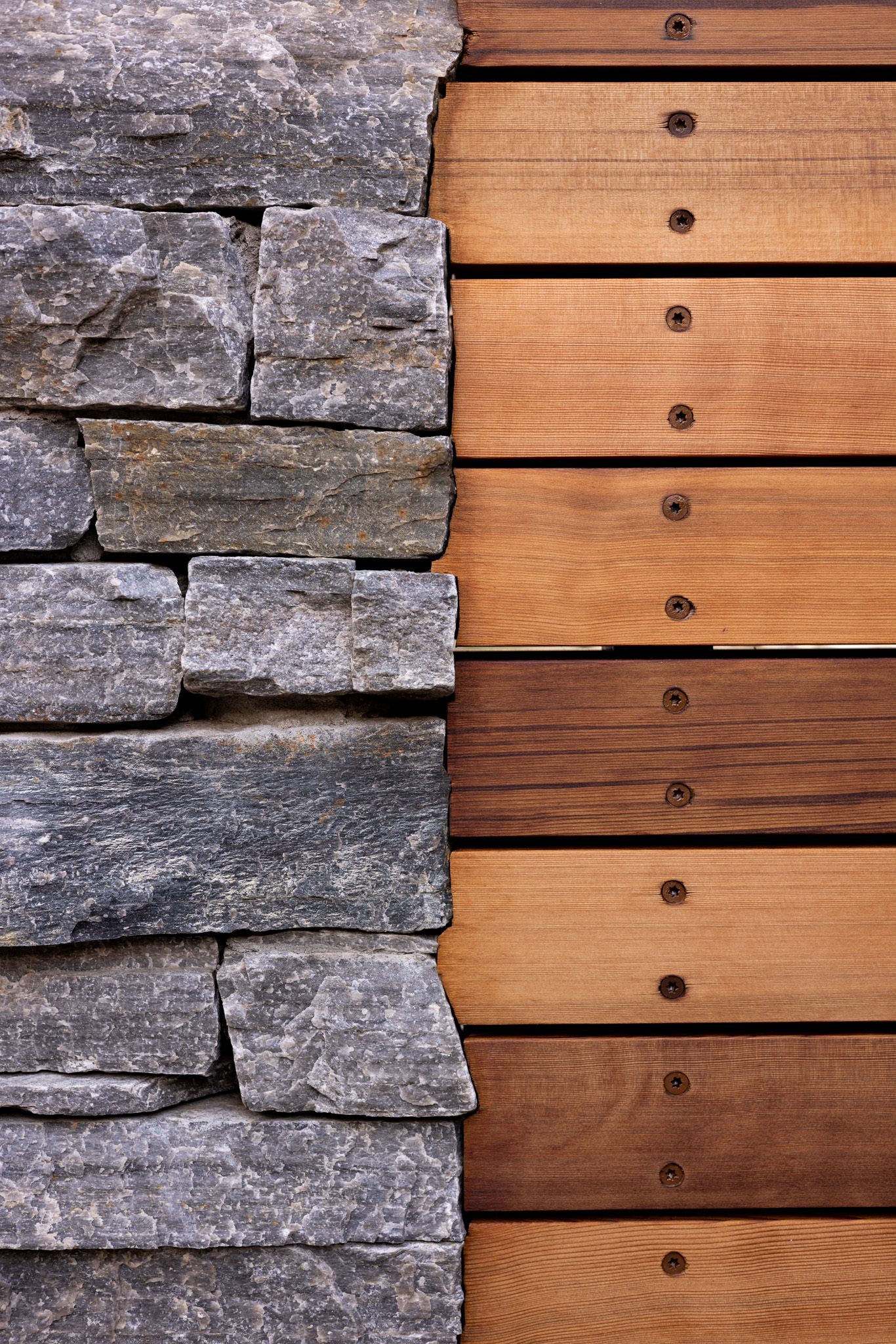 tz (9).jpg tz (9).jpg