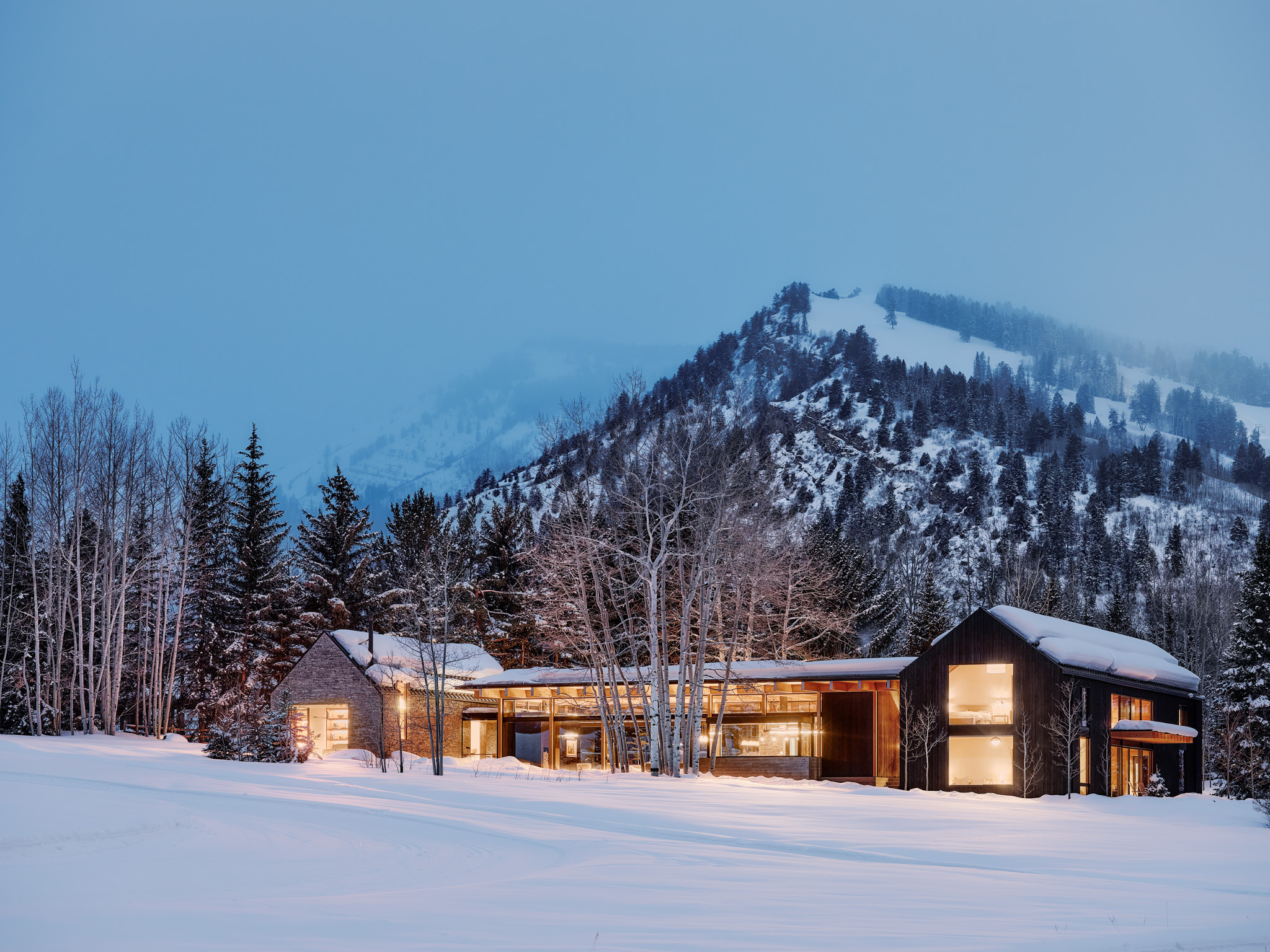 tz (11).jpg tz (11).jpg