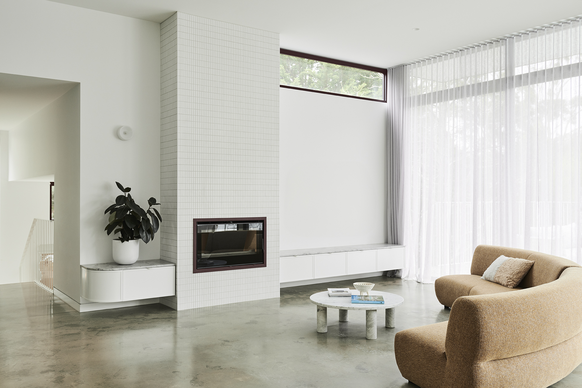 tz (4).jpg tz (4).jpg