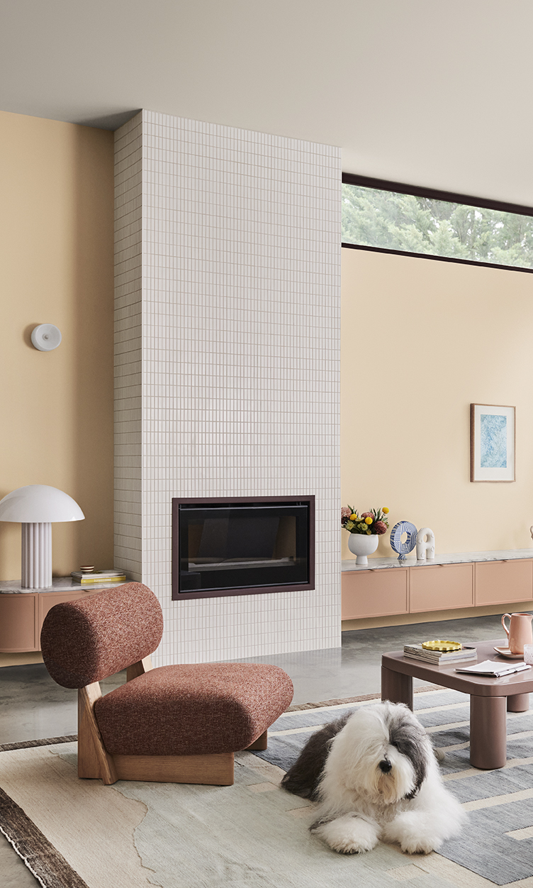 tz (6).jpg tz (6).jpg