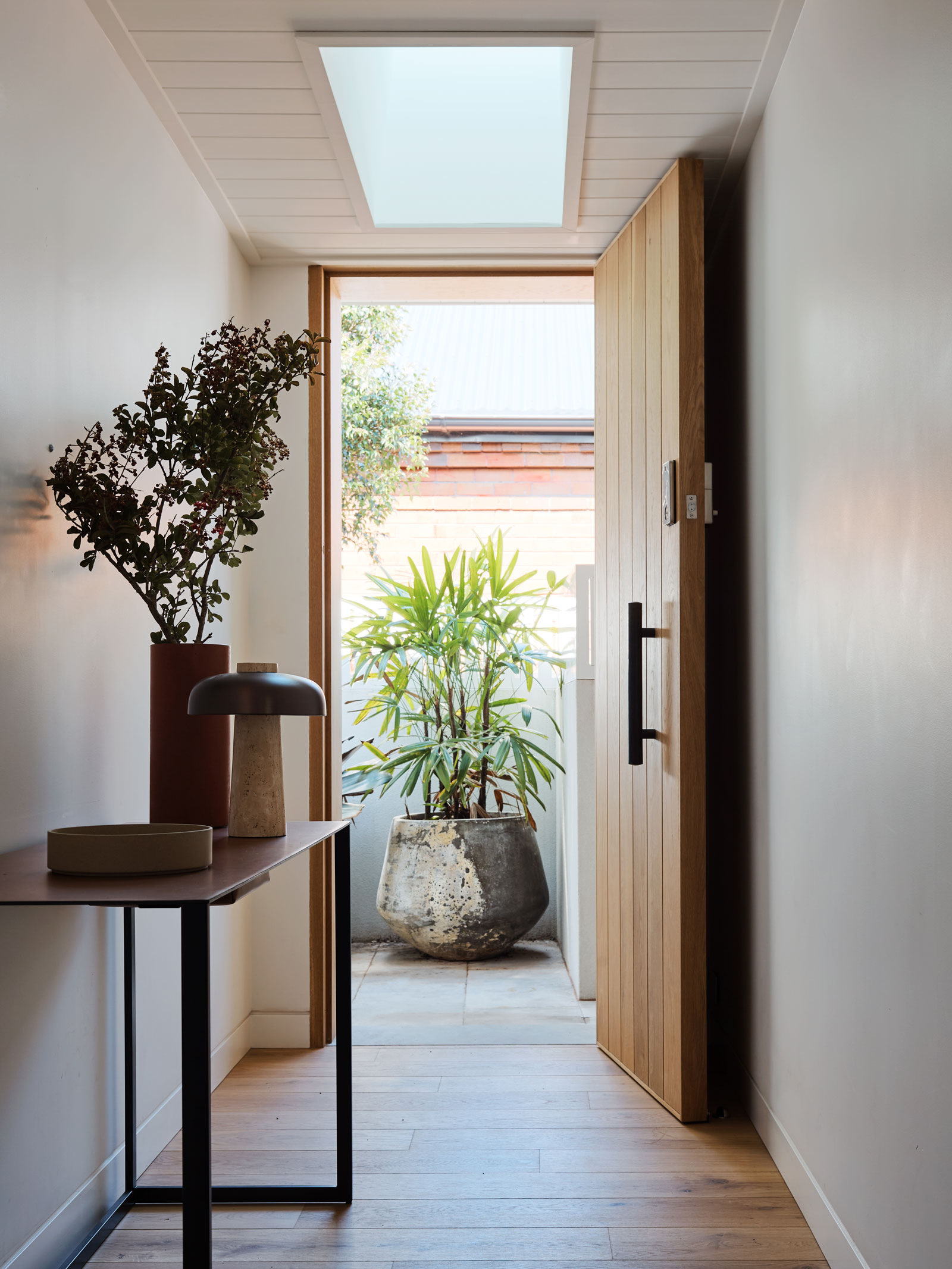 tz (1).jpg tz (1).jpg