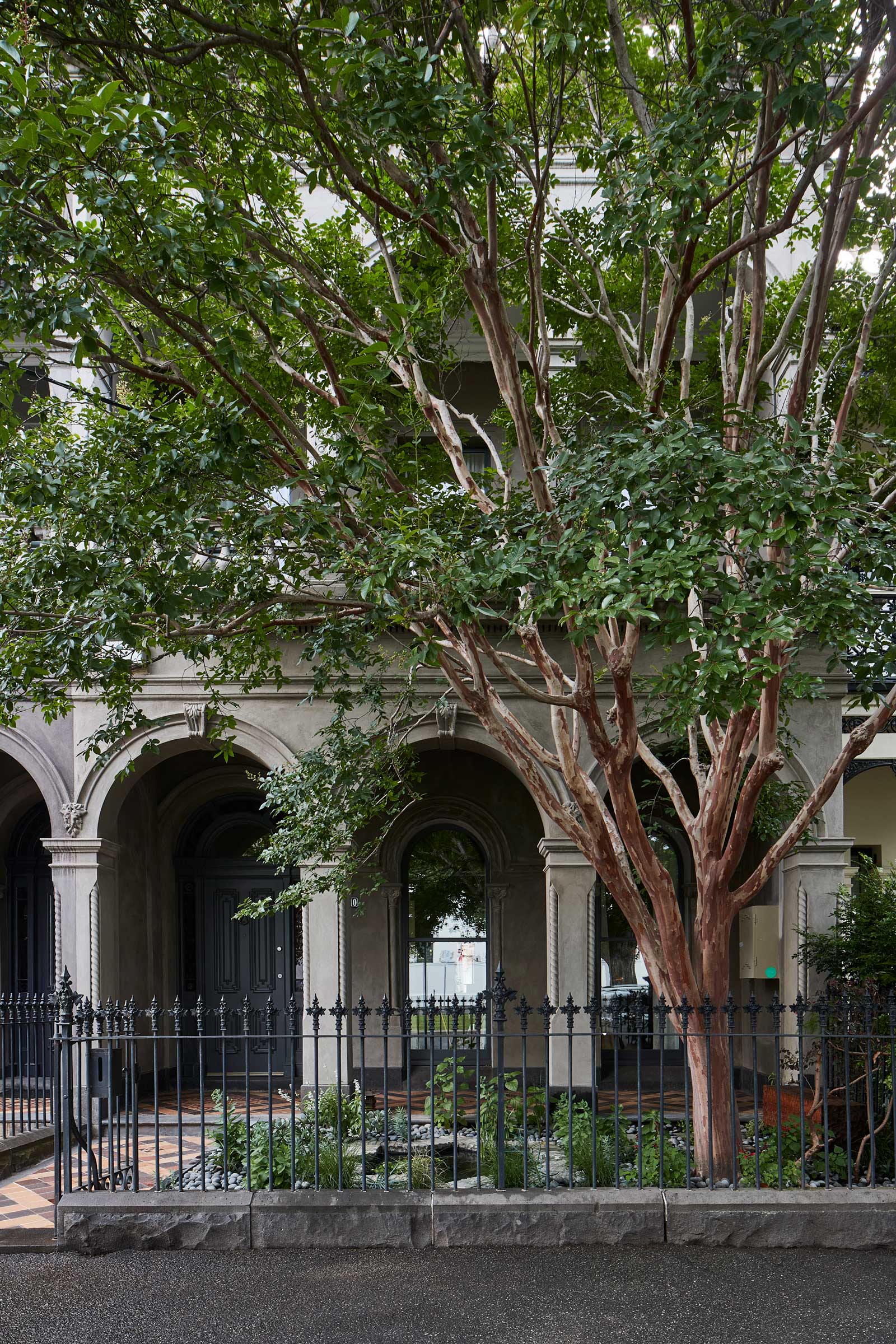 tz (1).jpg tz (1).jpg