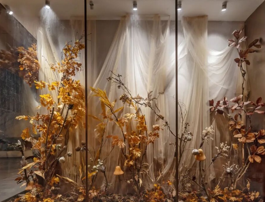 DM_20251030172543_011.JPG DM_20251030172543_011.JPG