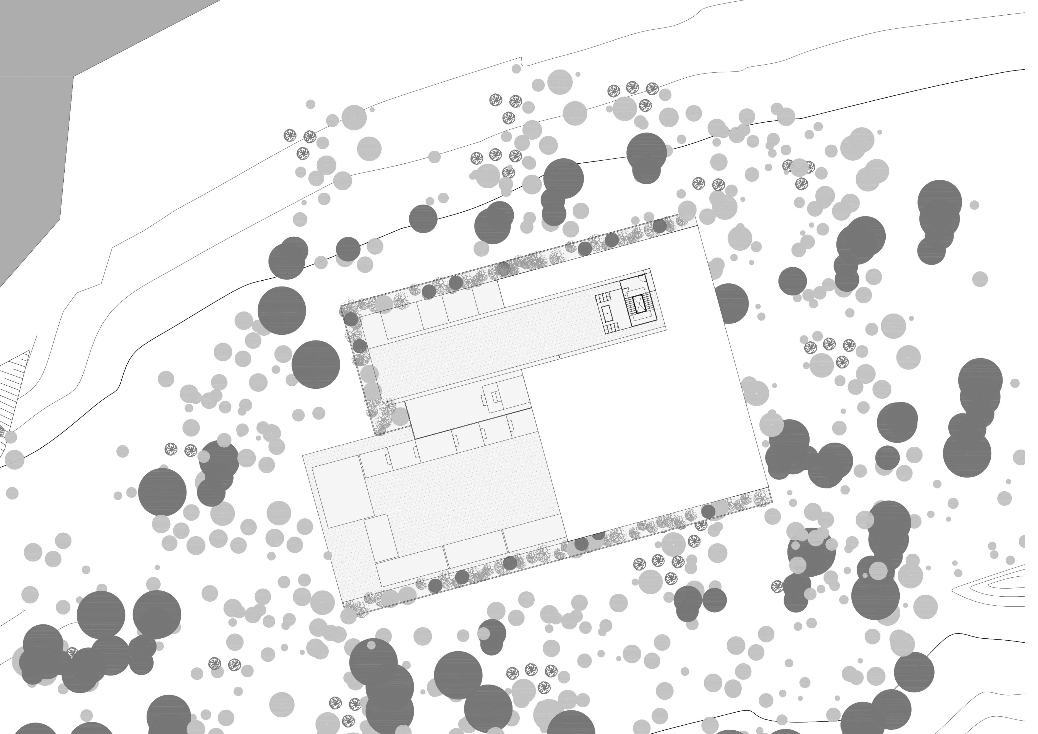 tz (12).jpg tz (12).jpg