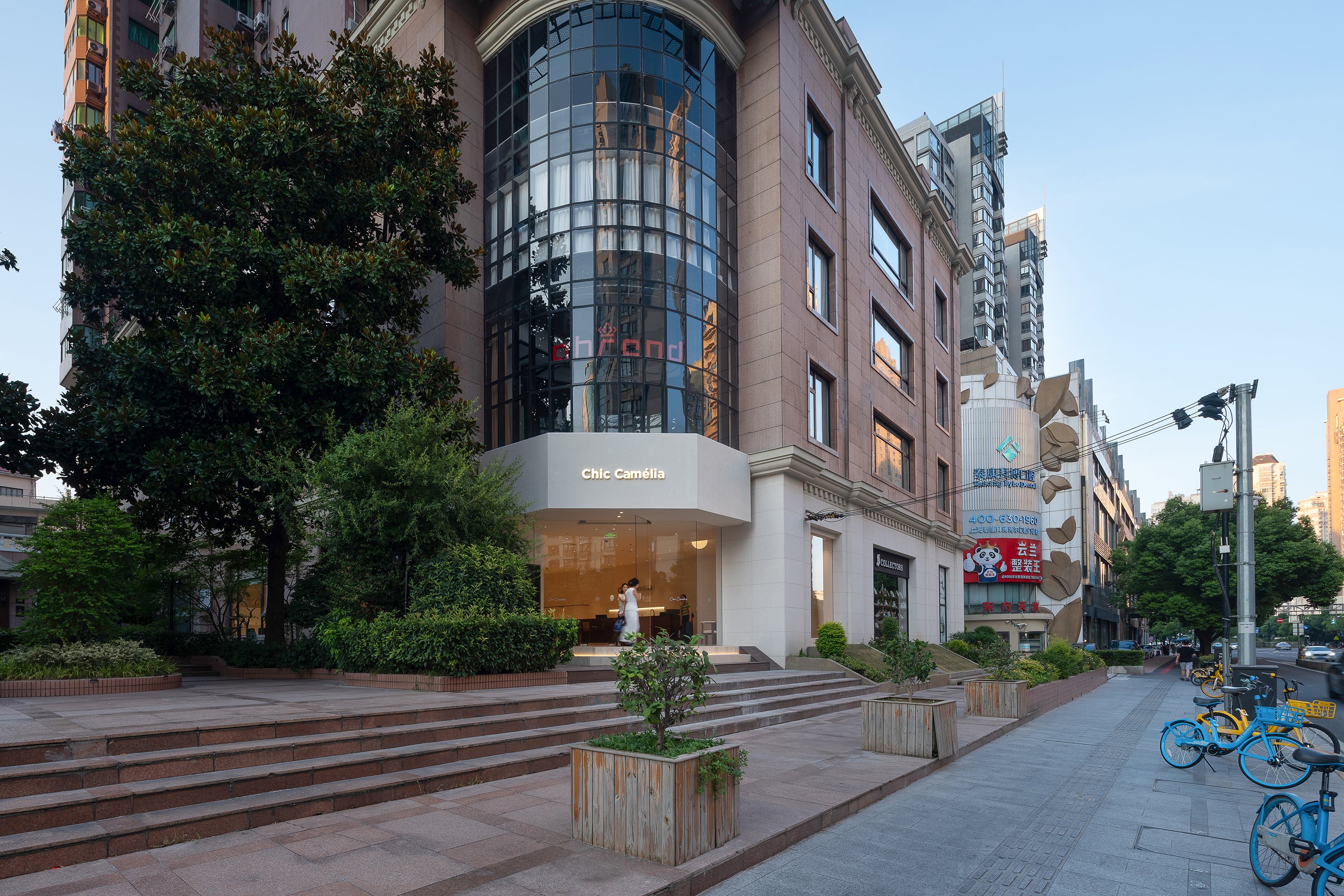 tz (1).jpg tz (1).jpg