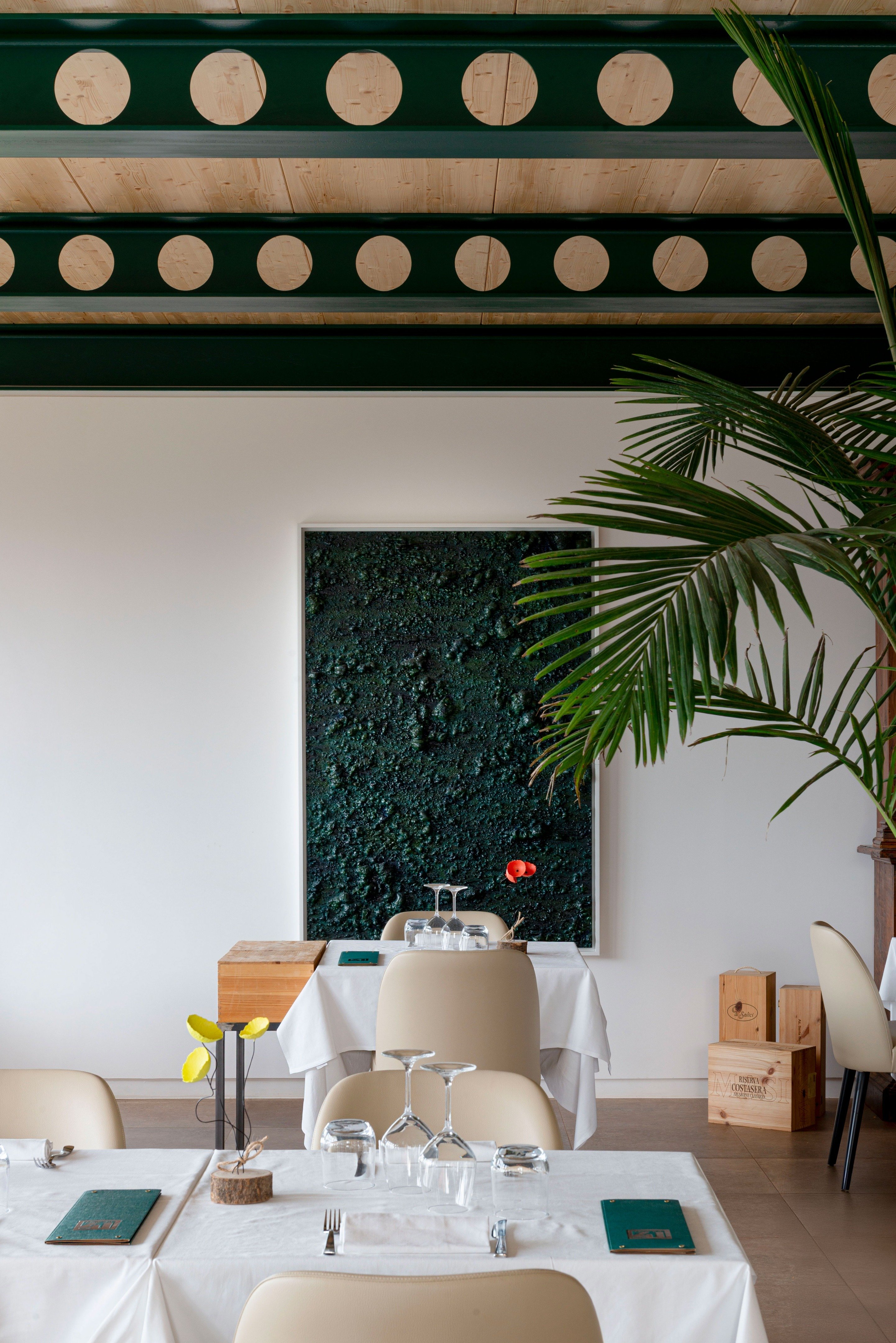 tz (6).jpg tz (6).jpg