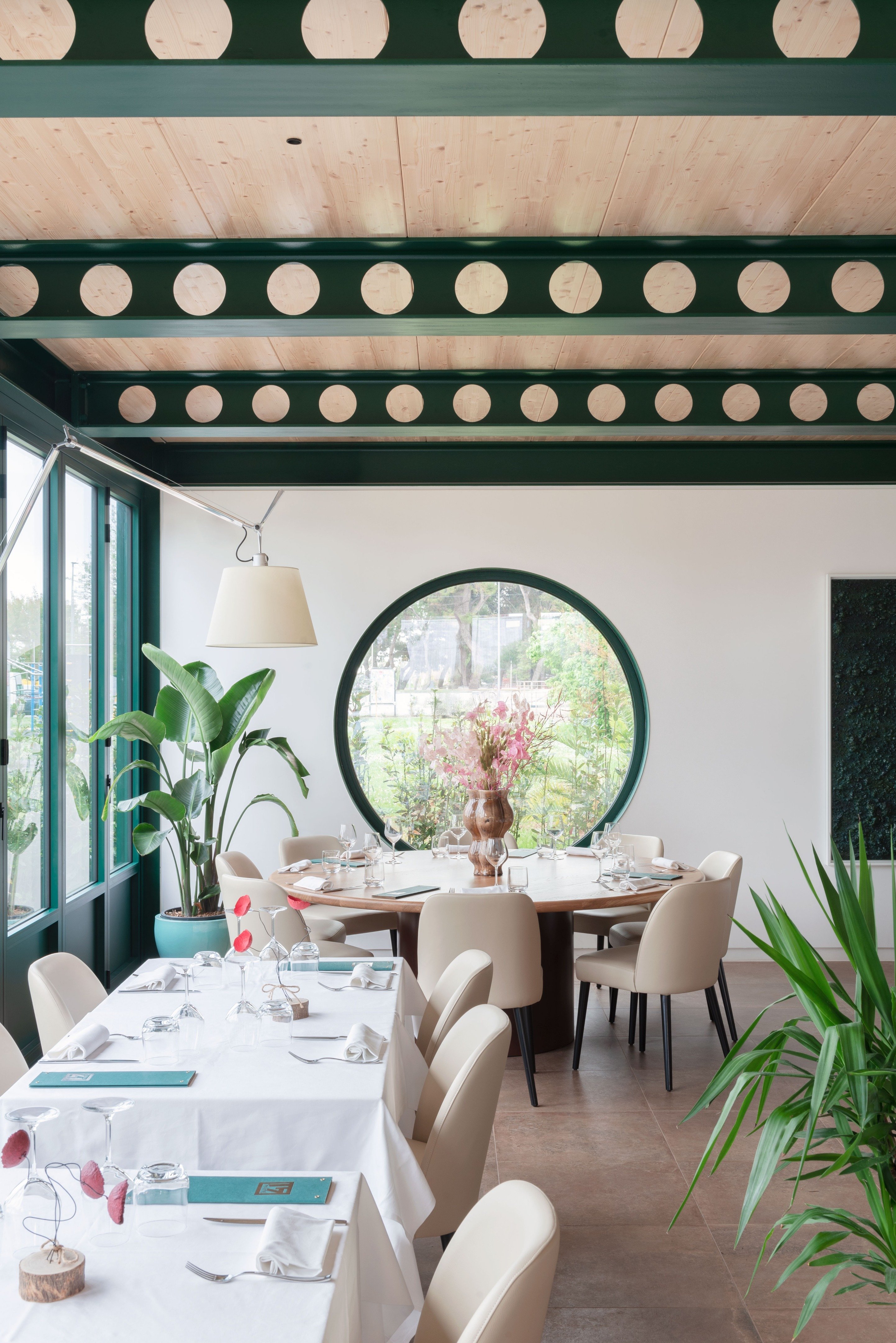 tz (8).jpg tz (8).jpg