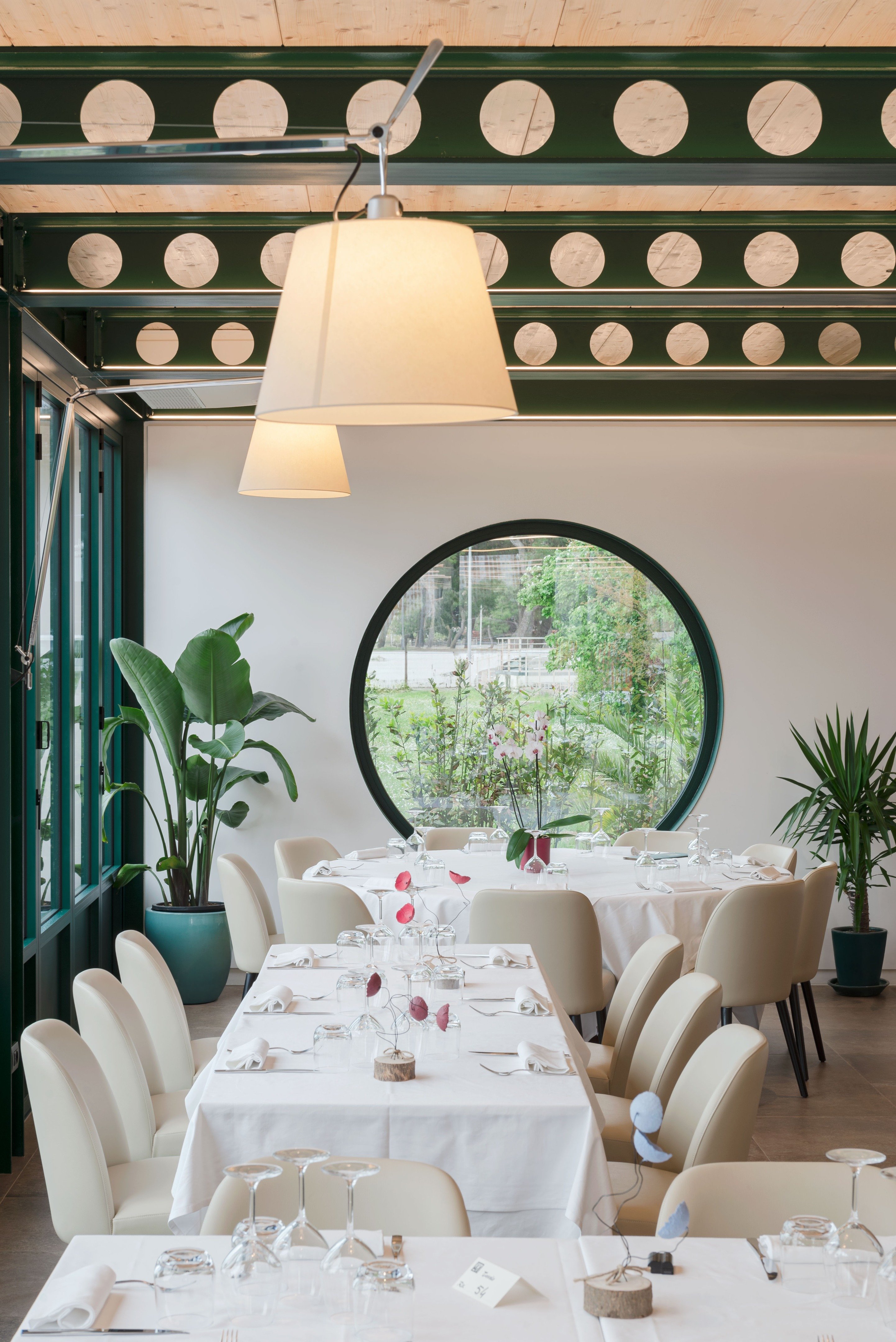 tz (9).jpg tz (9).jpg