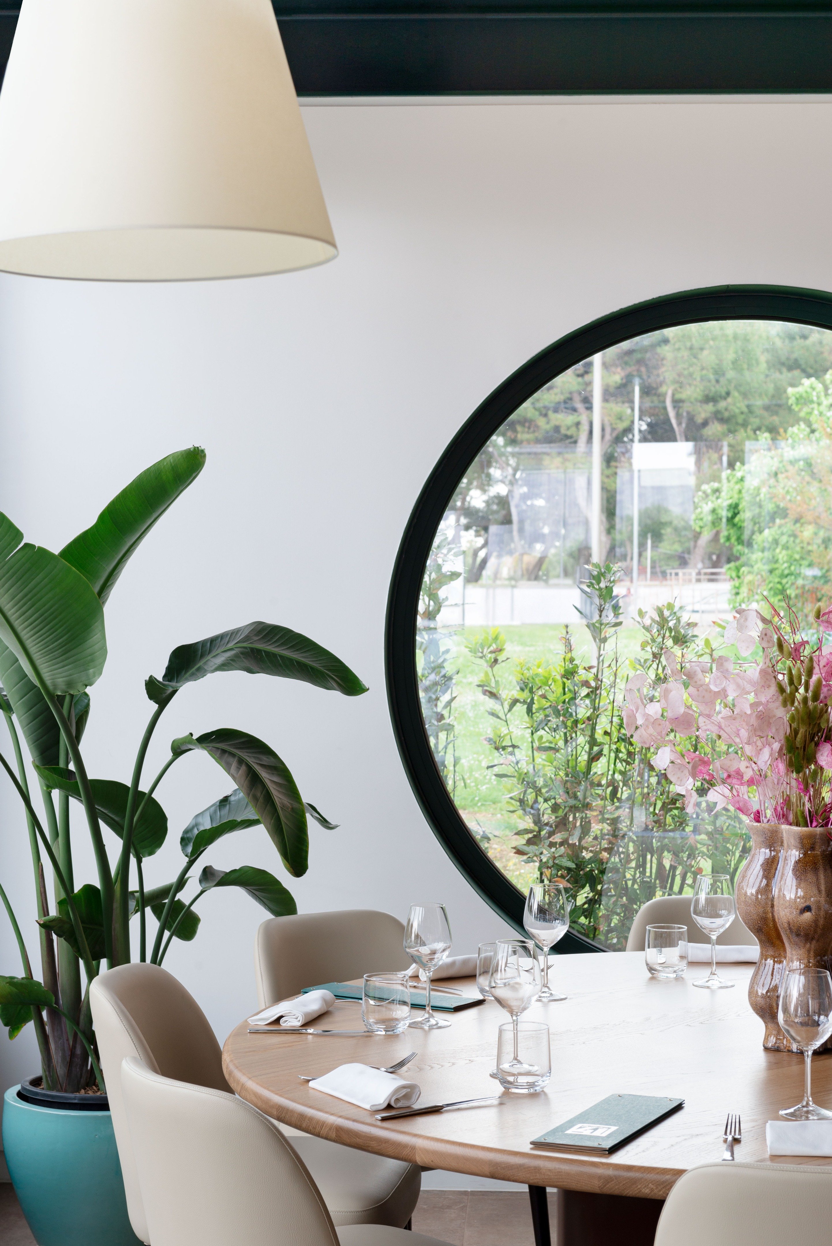 tz (11).jpg tz (11).jpg