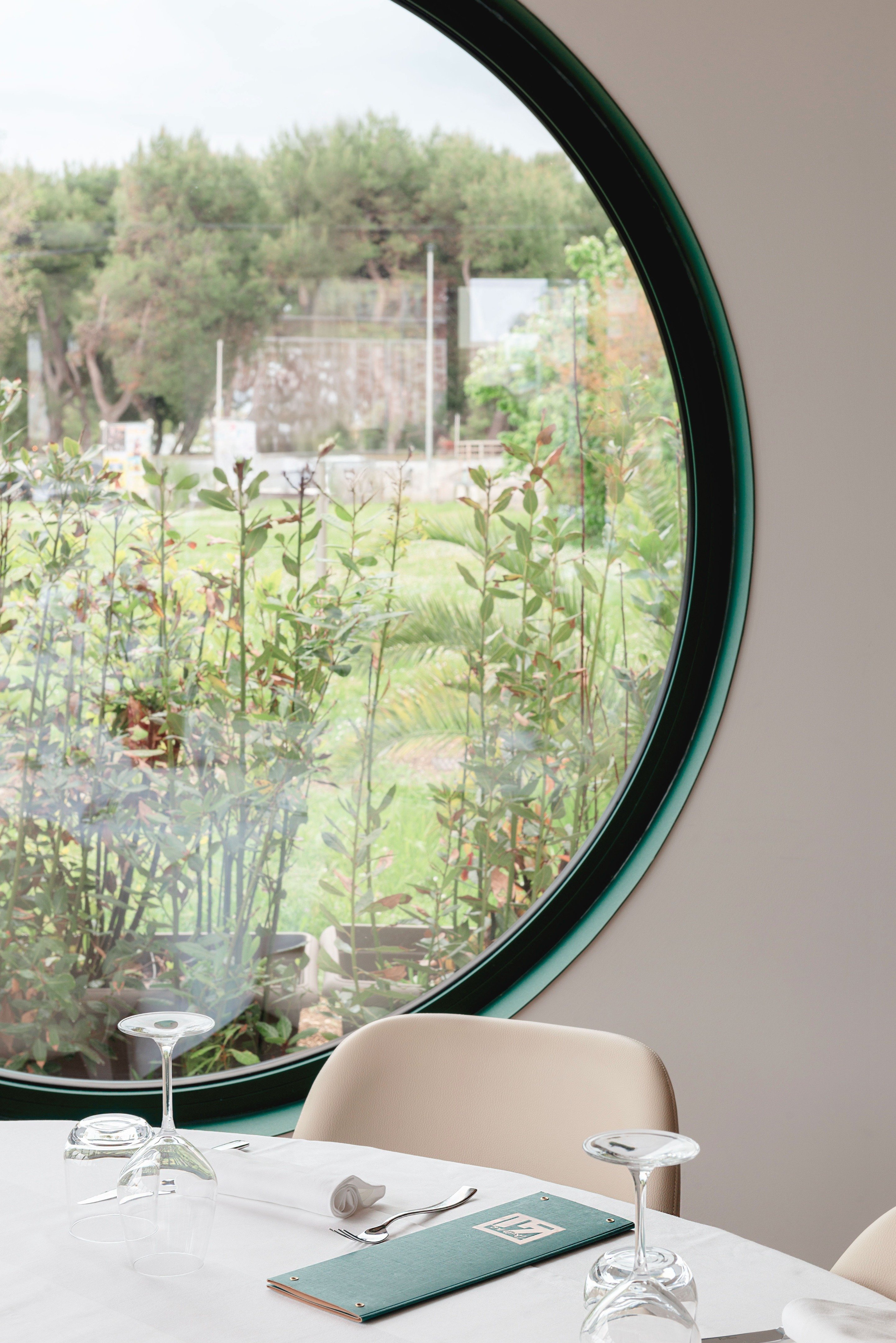 tz (12).jpg tz (12).jpg