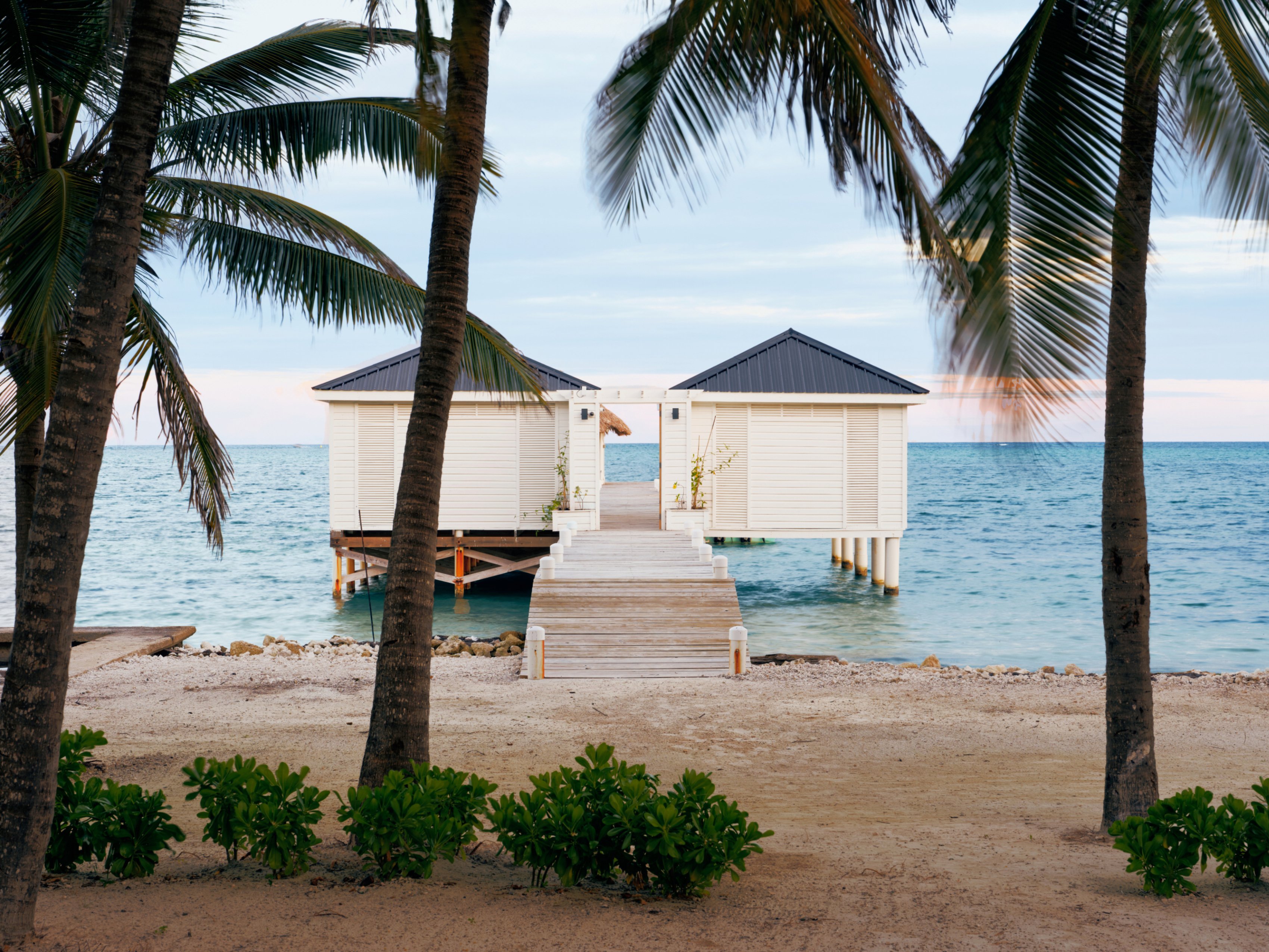 tz (4).jpg tz (4).jpg