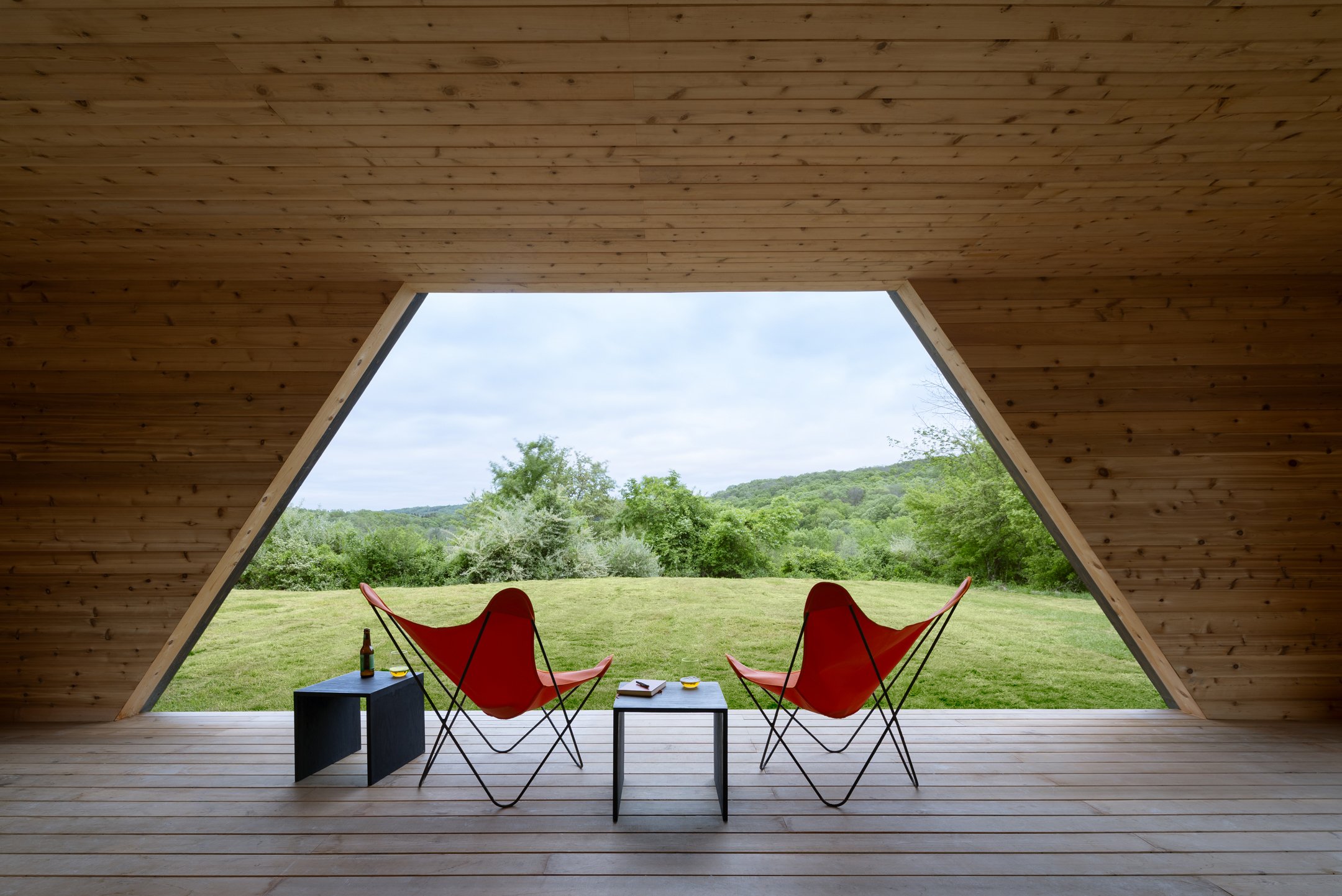 tz (11).jpg tz (11).jpg