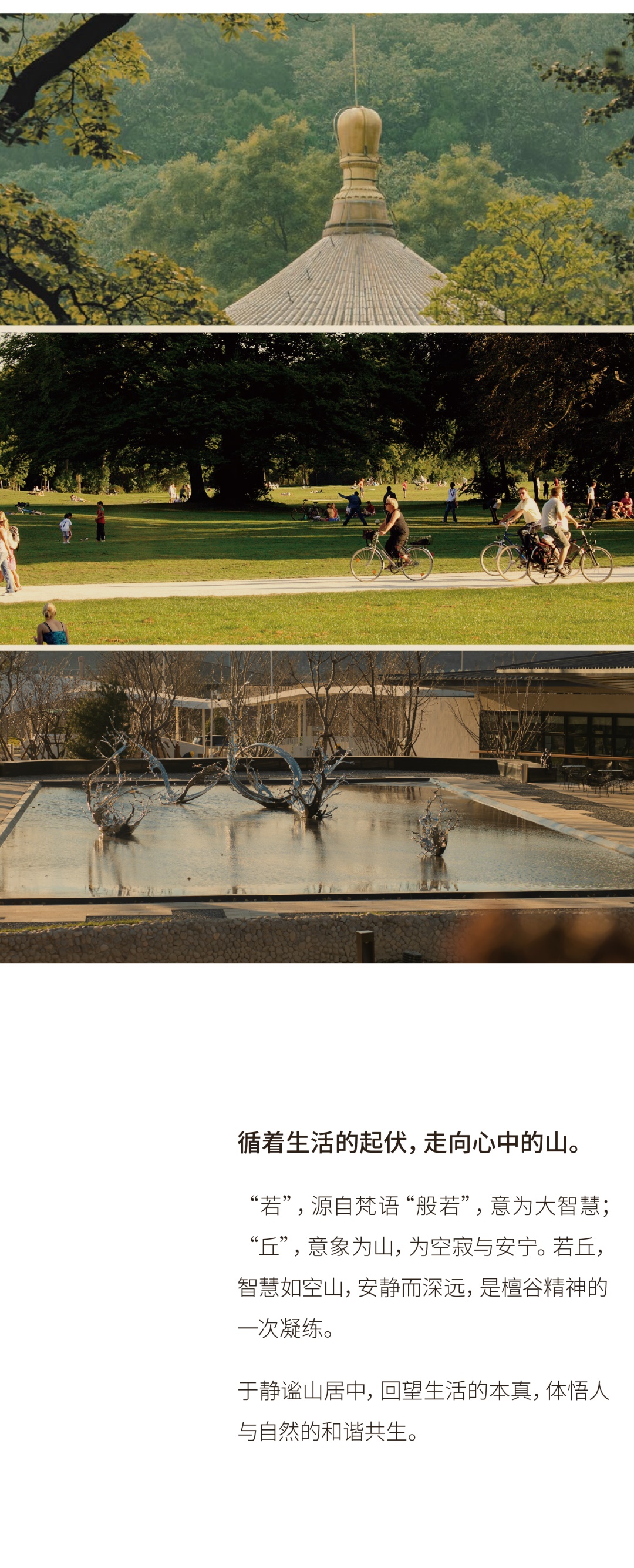 DM_20251031205401_004.JPG DM_20251031205401_004.JPG