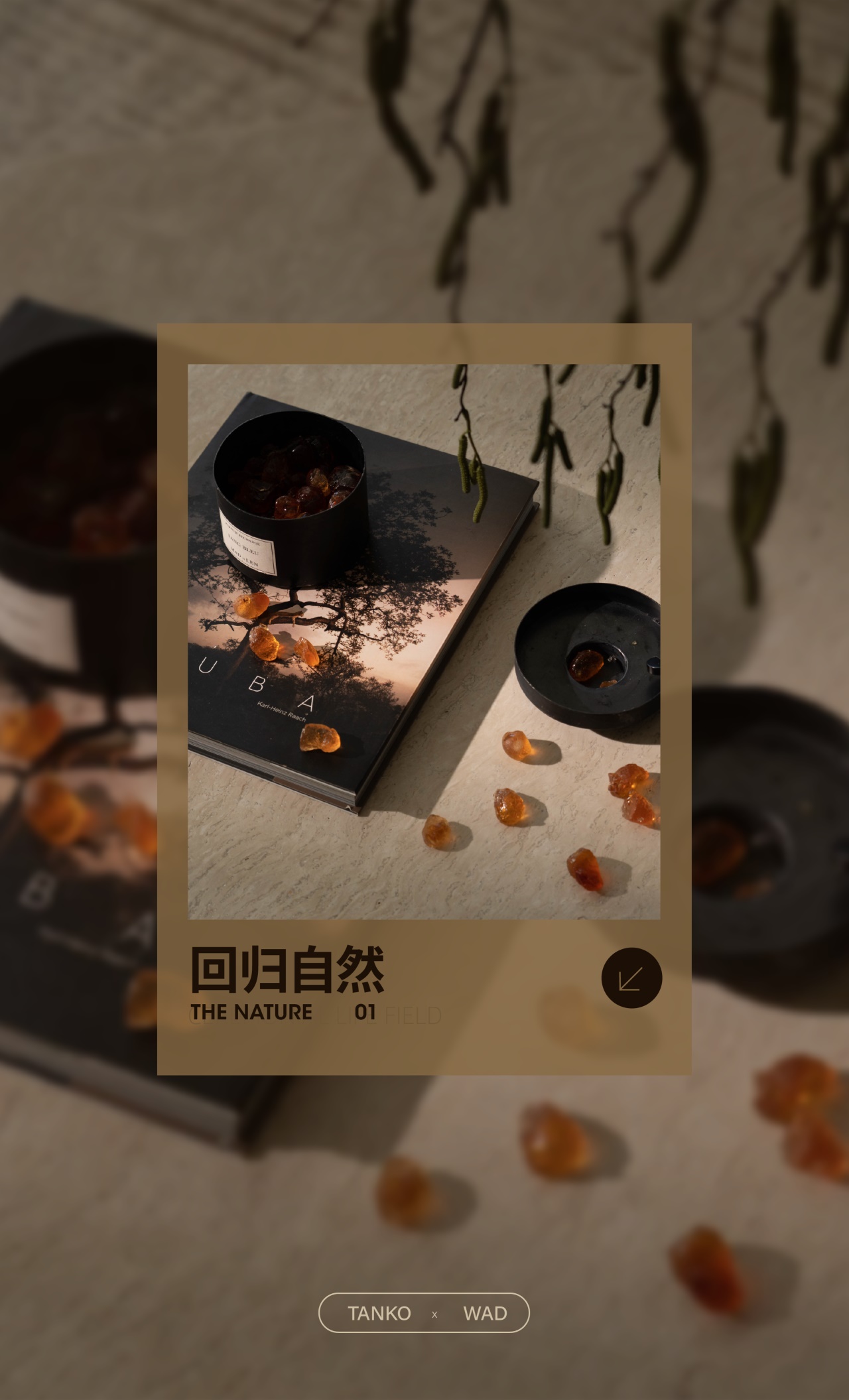 DM_20251031205401_008.JPG DM_20251031205401_008.JPG