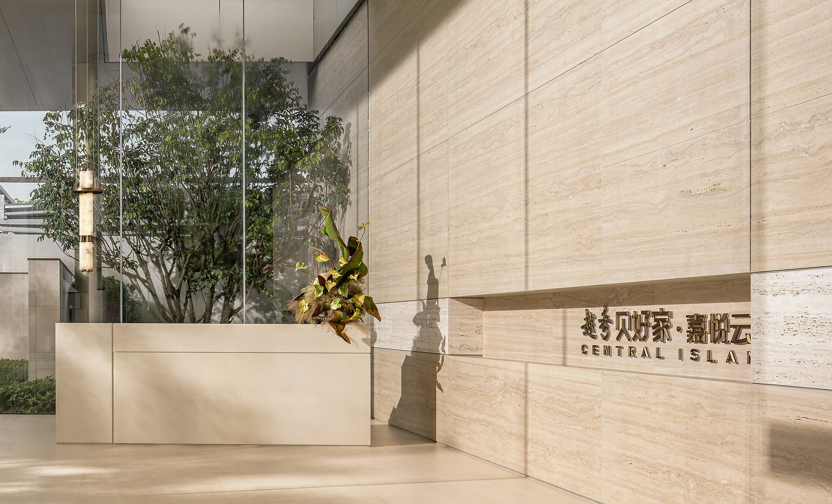 DM_20251107203718_005a (1).JPG