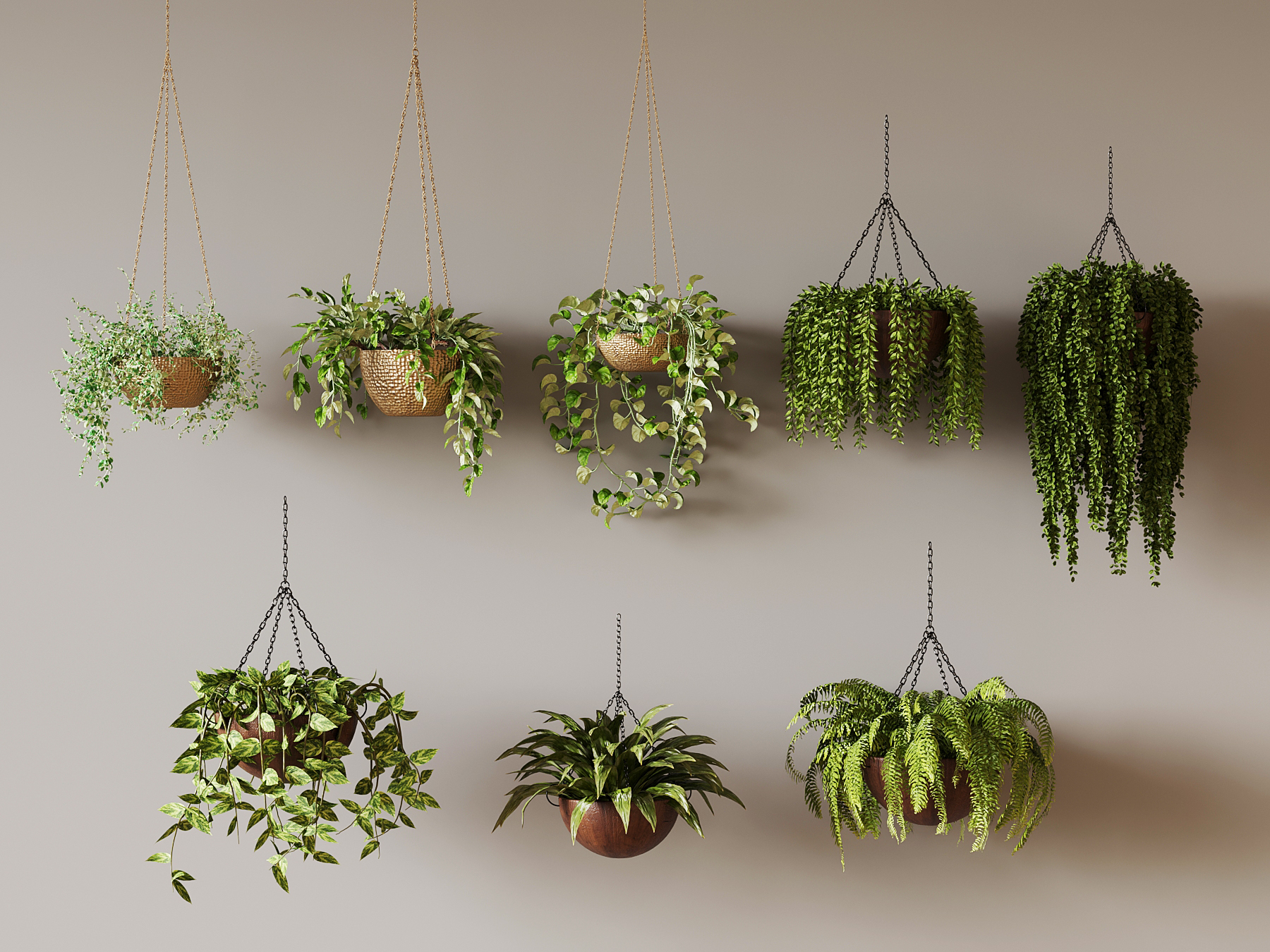 �������� ����