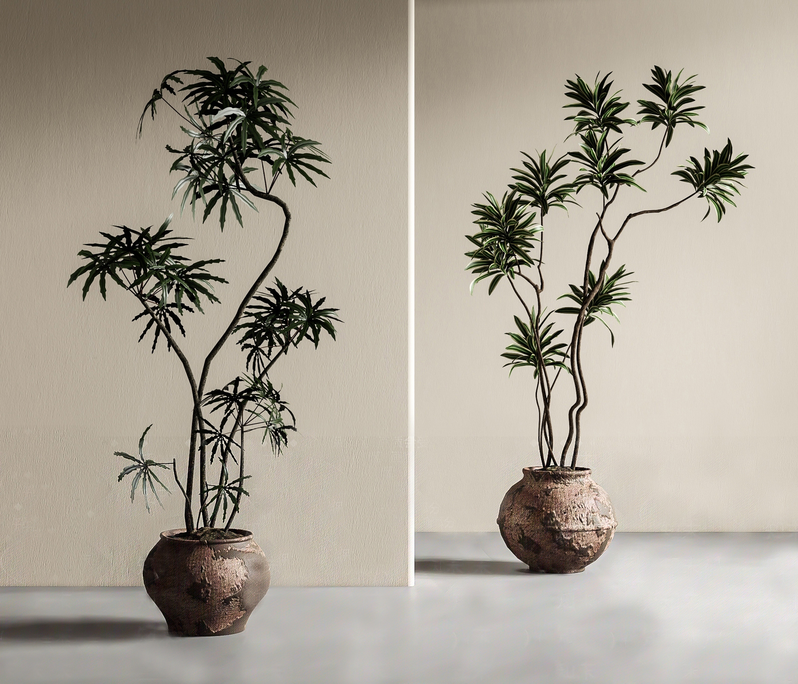 �йŷ�ֲ������