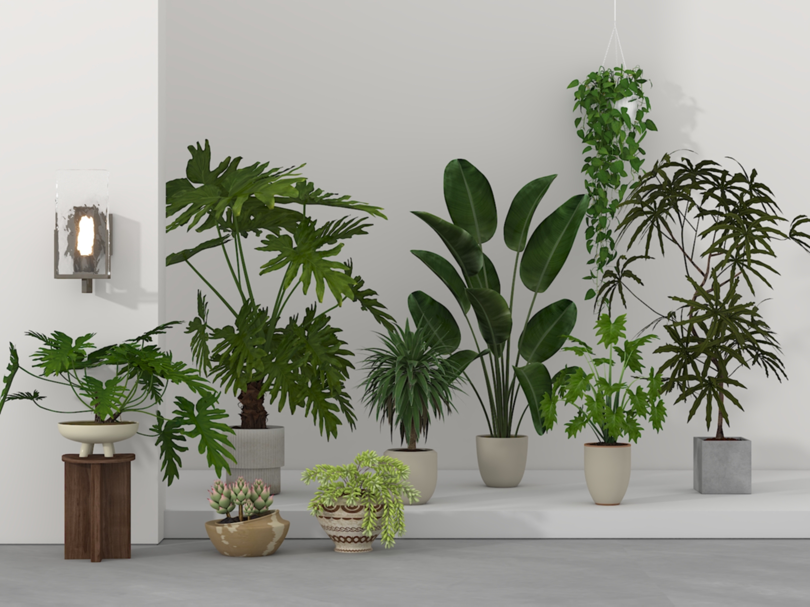 ��ֲ���� �辰 ���� ���� �ڵ�