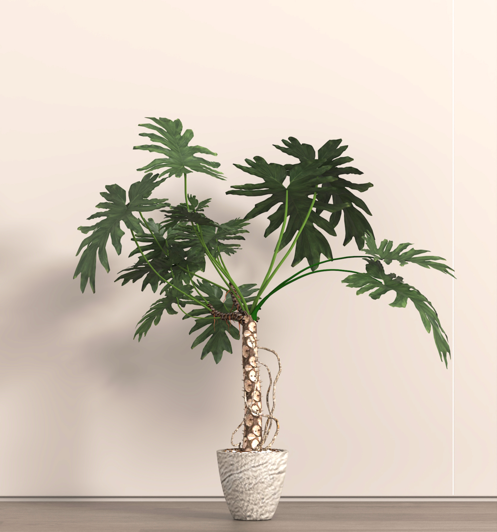 �ִ���ֲ ���� ���۴��� ����