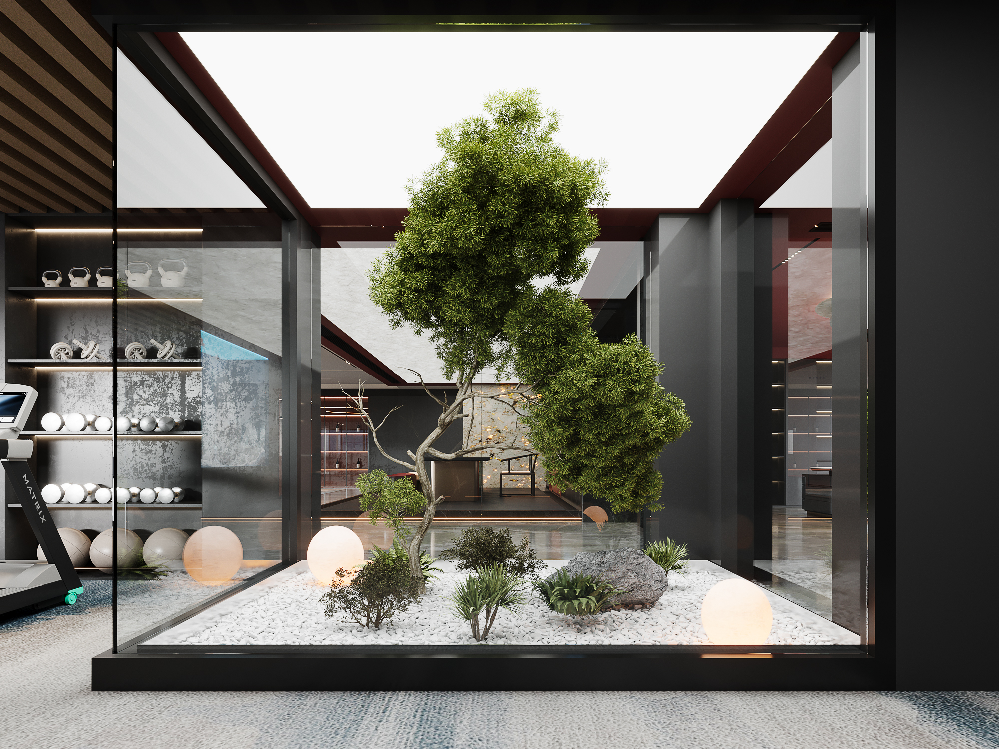 �ִ����ھ����쾰