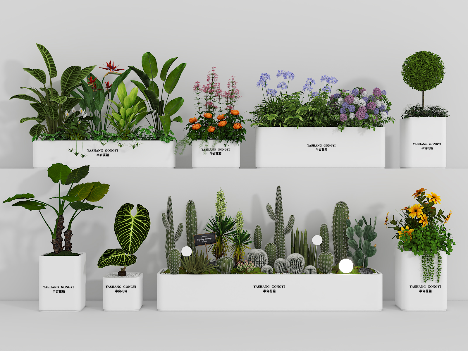 ��ڻ��� ���� ������ ���� ���ػ�̳ ֲ����� �����쾰 ֲ���