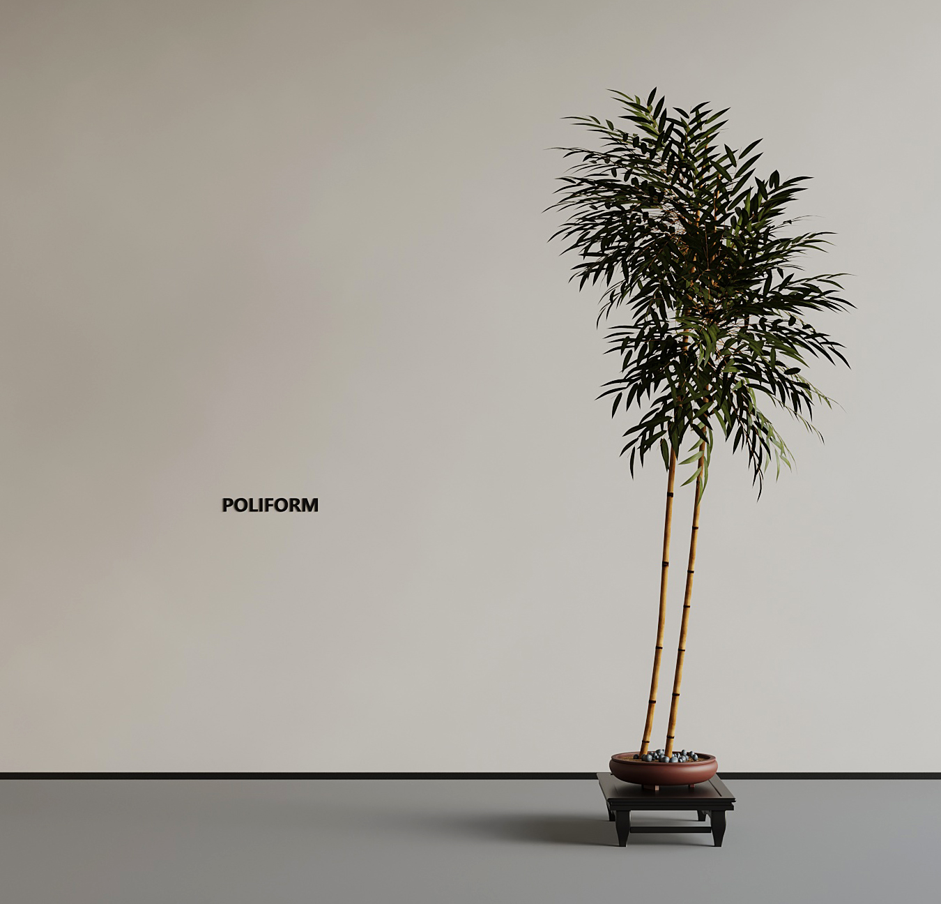 ����ʽ��ֲ����