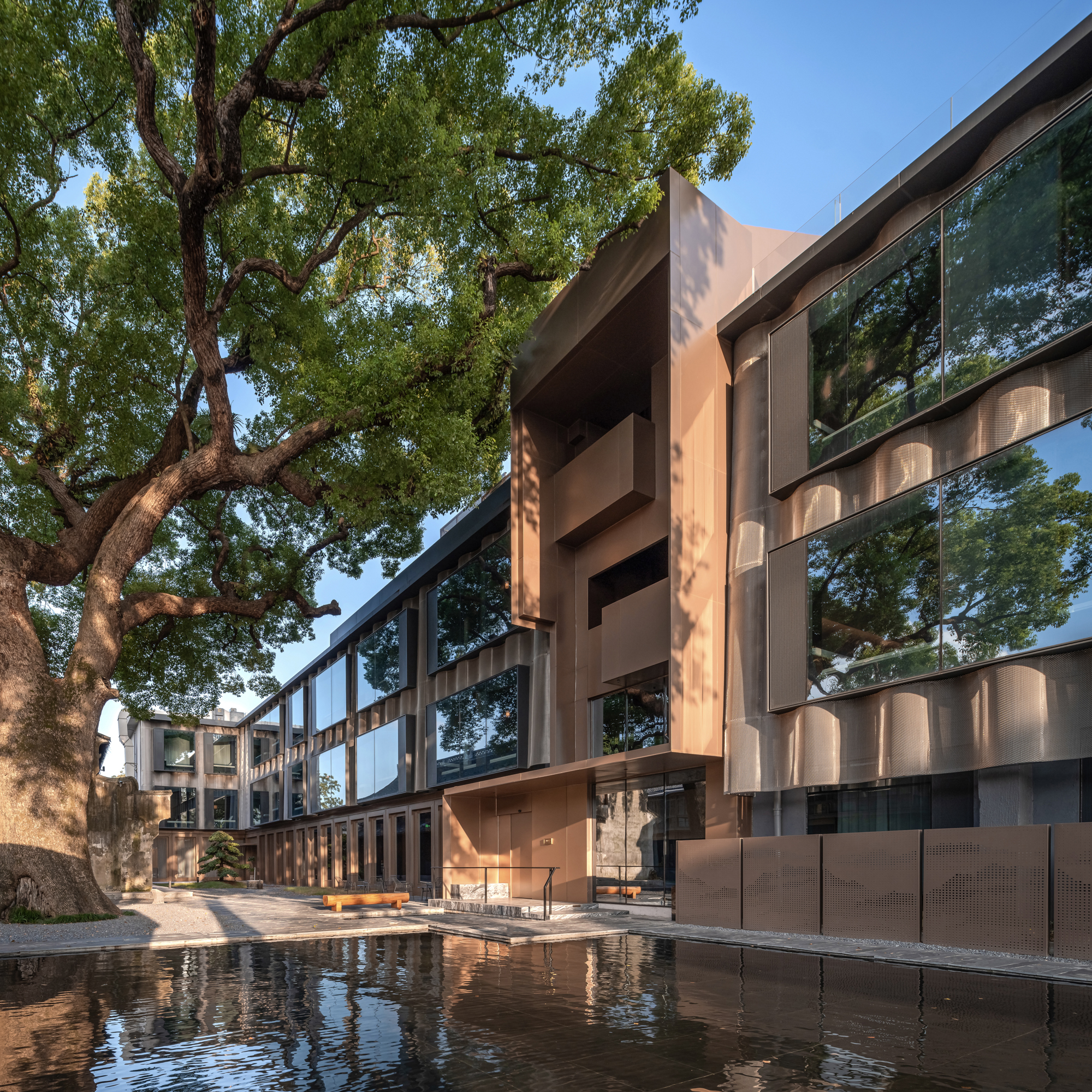 006_ Ϧ���µ�����ͥԺ Camphor Courtyard at Sunset 