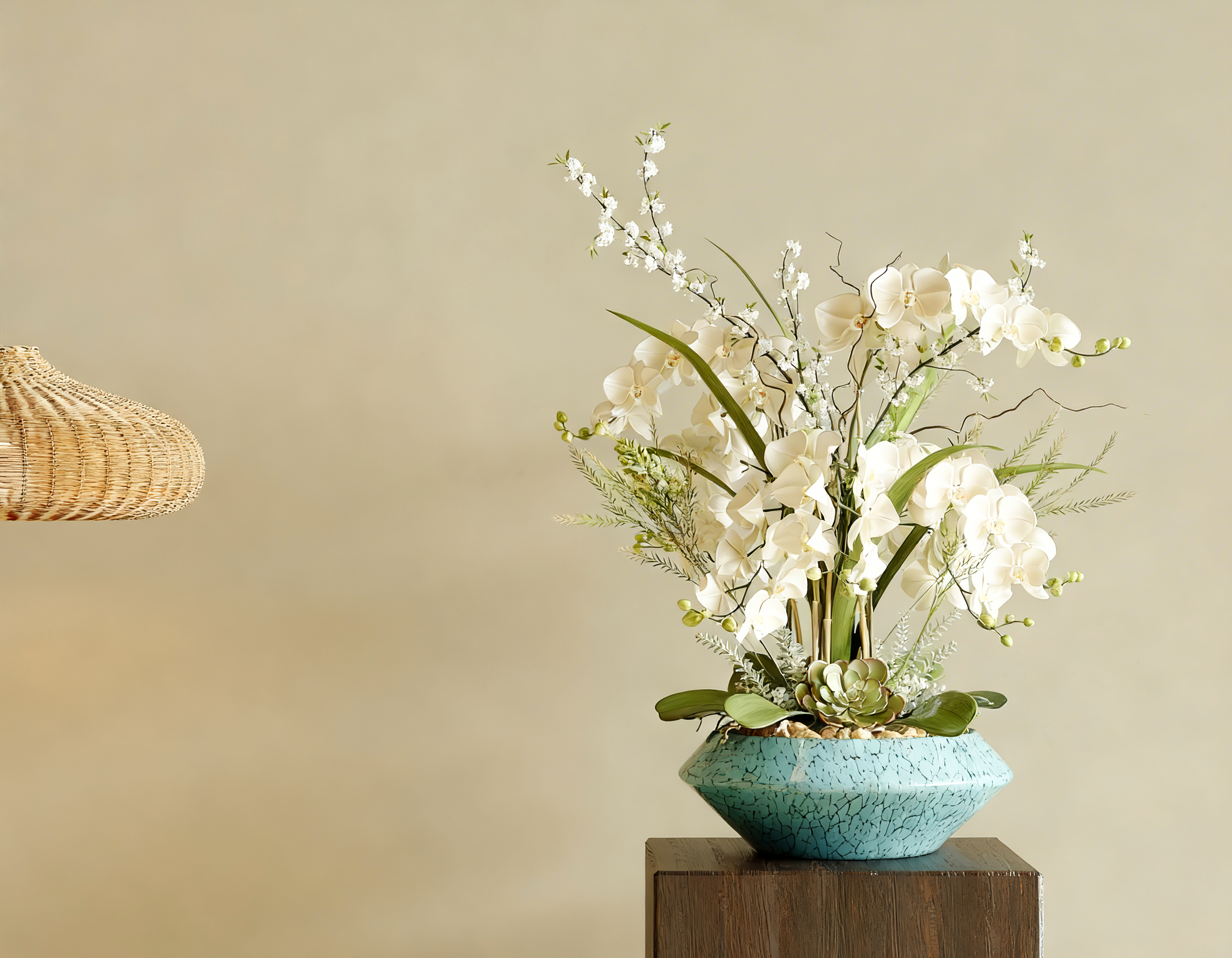 ����ʽ����