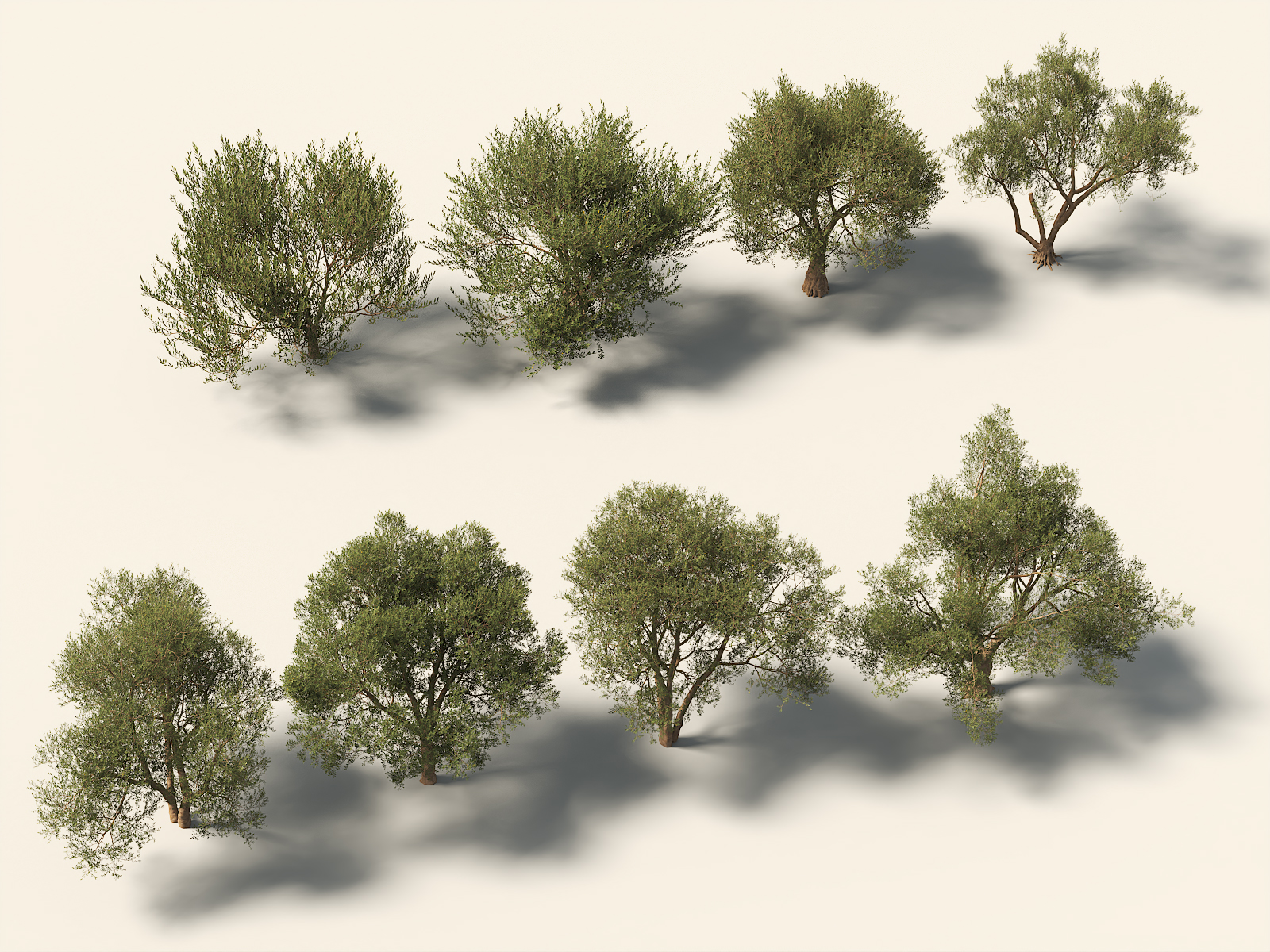 �ִ� �� ��������� ֲ��������������