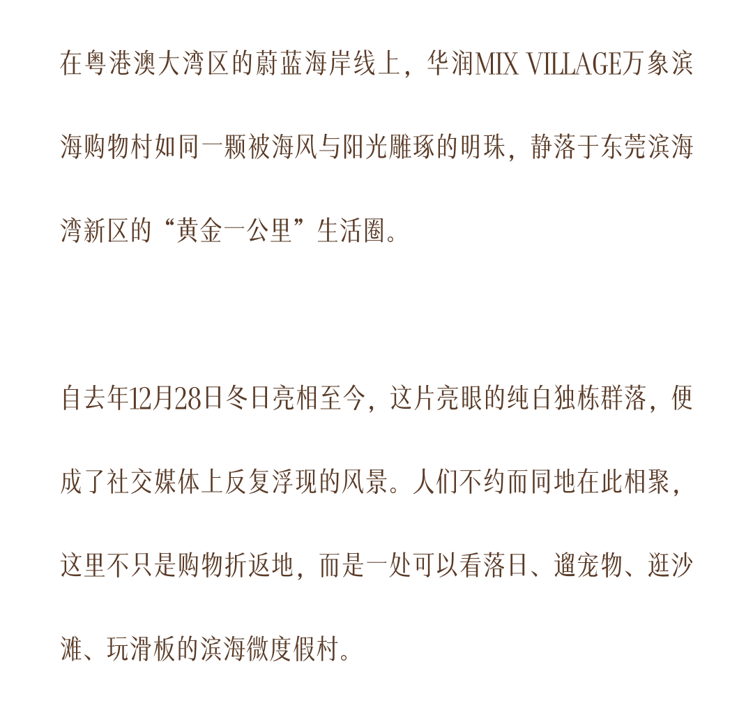 tz (1c).jpg