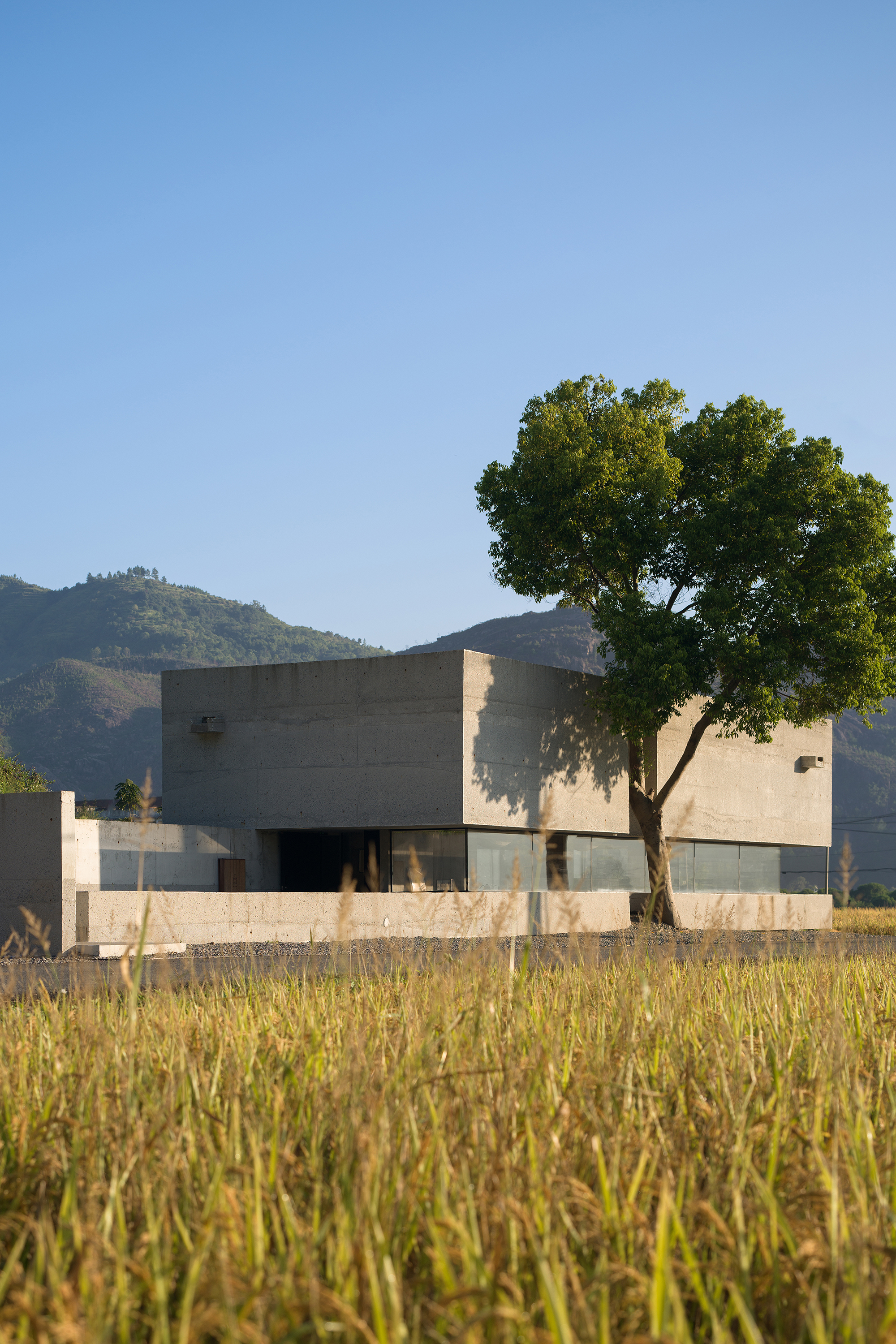 MOJ-Matcha-by-Thinking-Design-02.jpg