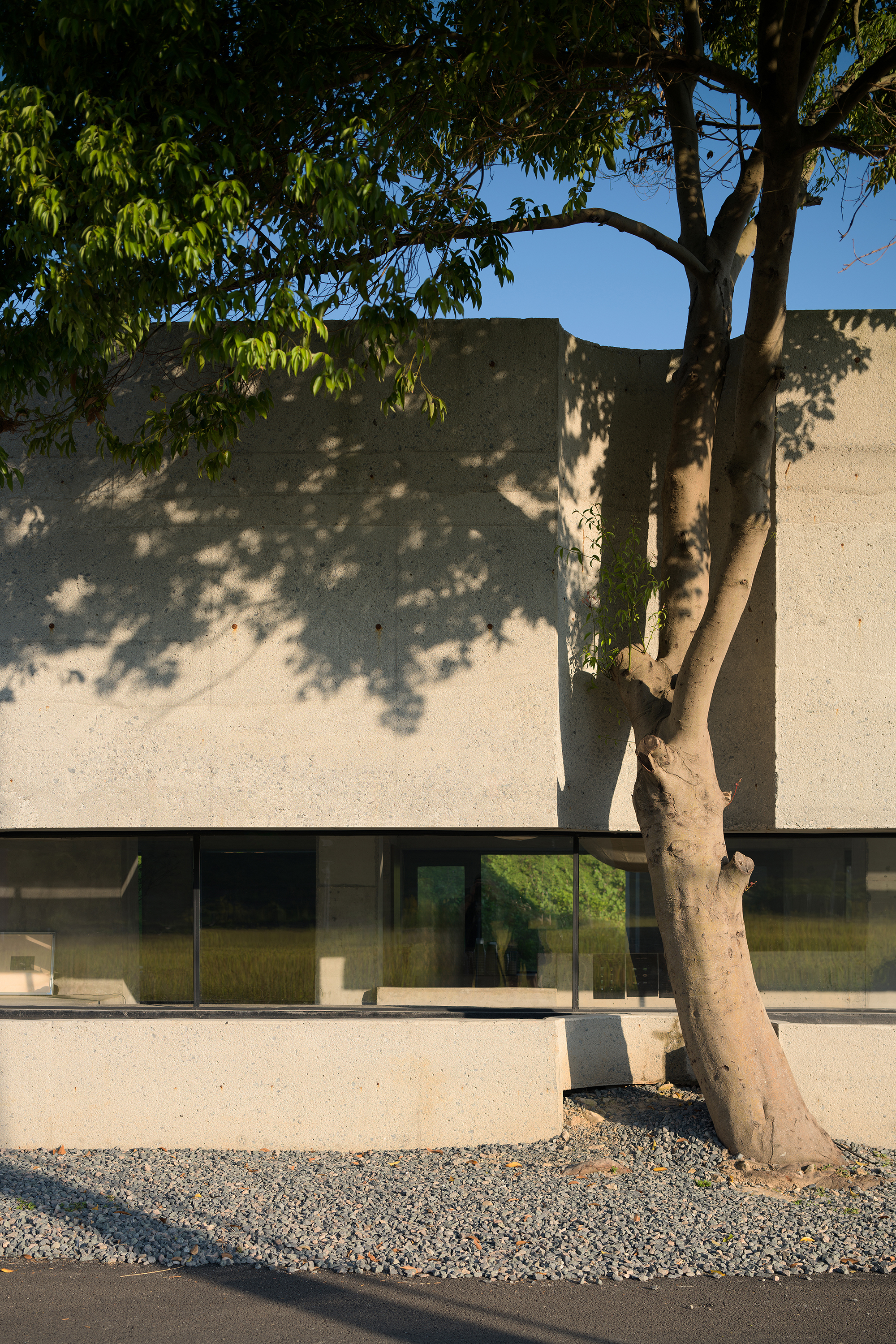 MOJ-Matcha-by-Thinking-Design-05.jpg