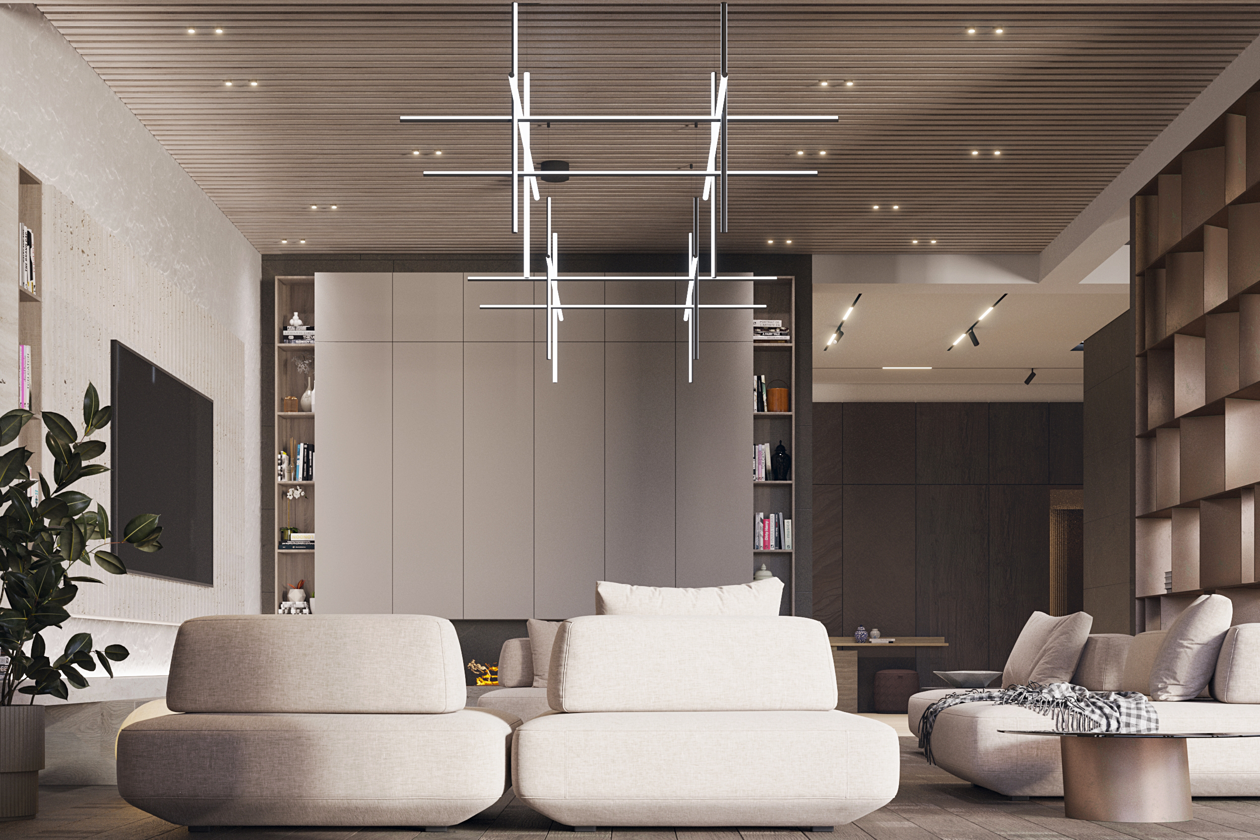 TZ (2).jpg