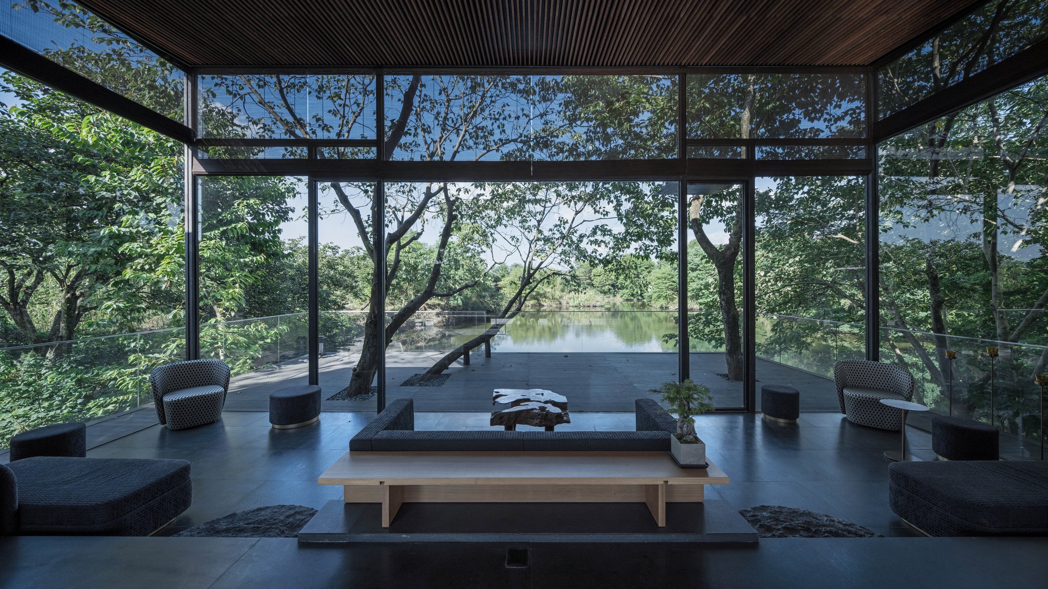 TZ (4).jpg