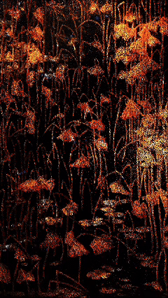 ͼƬ18.gif
