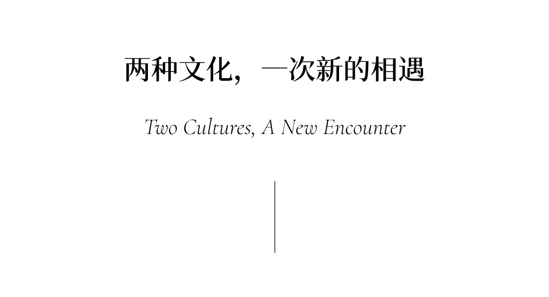 tz (5).PNG