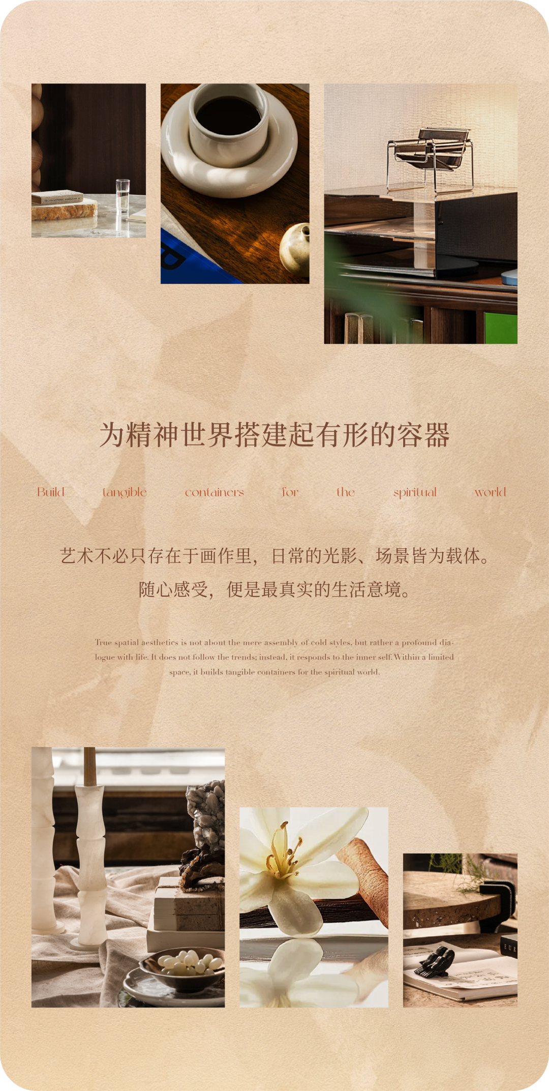 tz (1).PNG