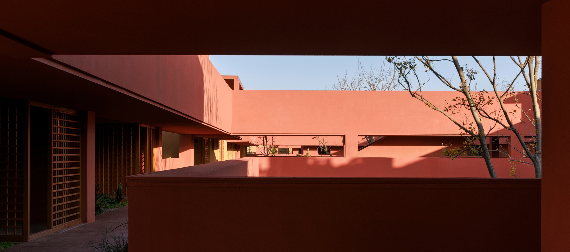 t (5).jpg