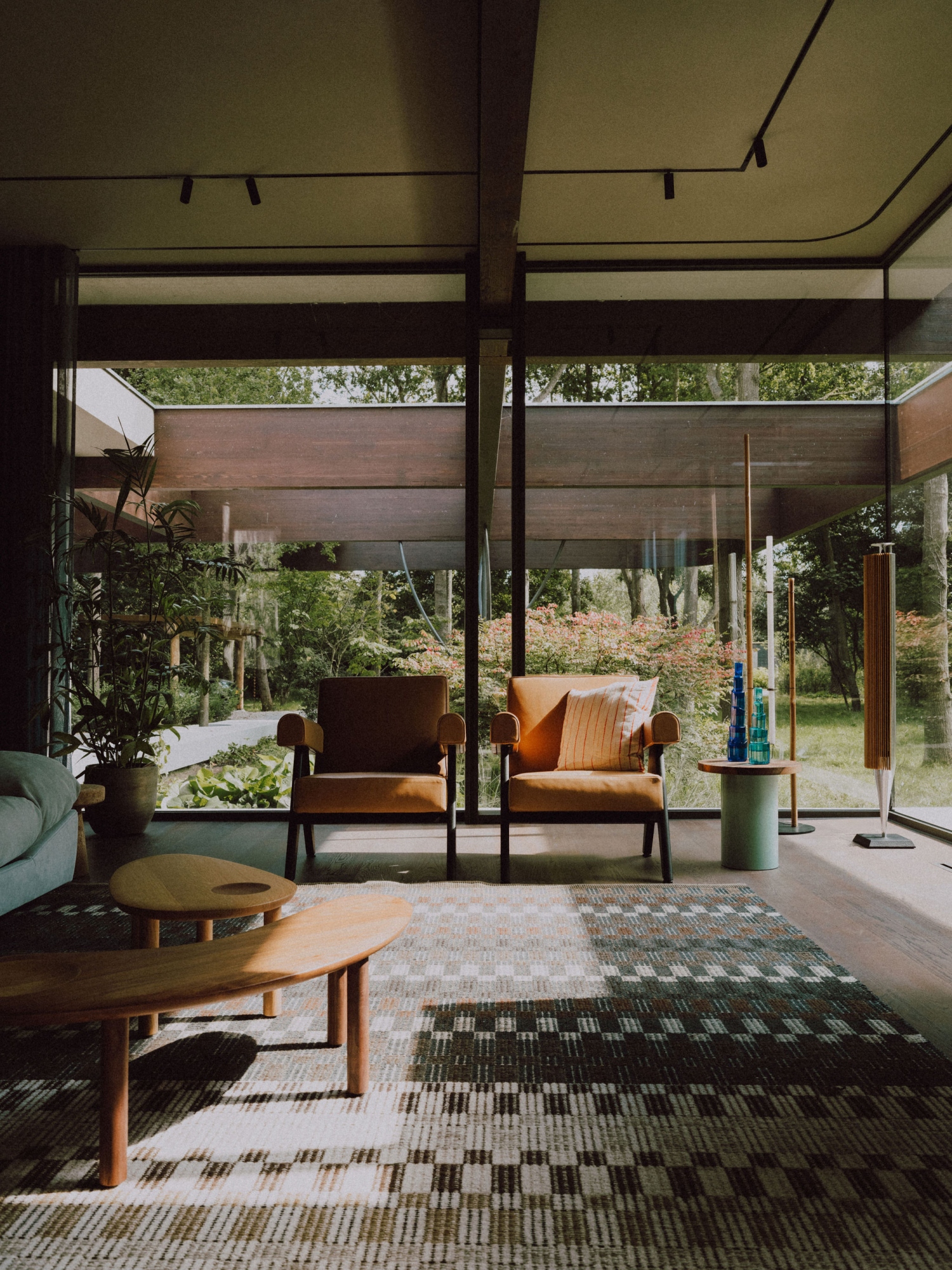 TZ (5).jpg