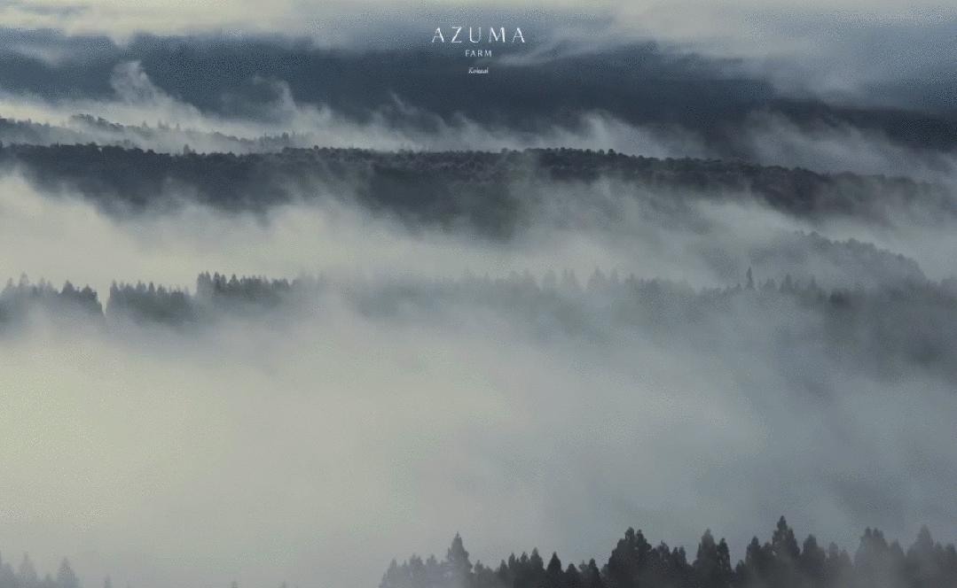 DM_20260918094734_003.GIF