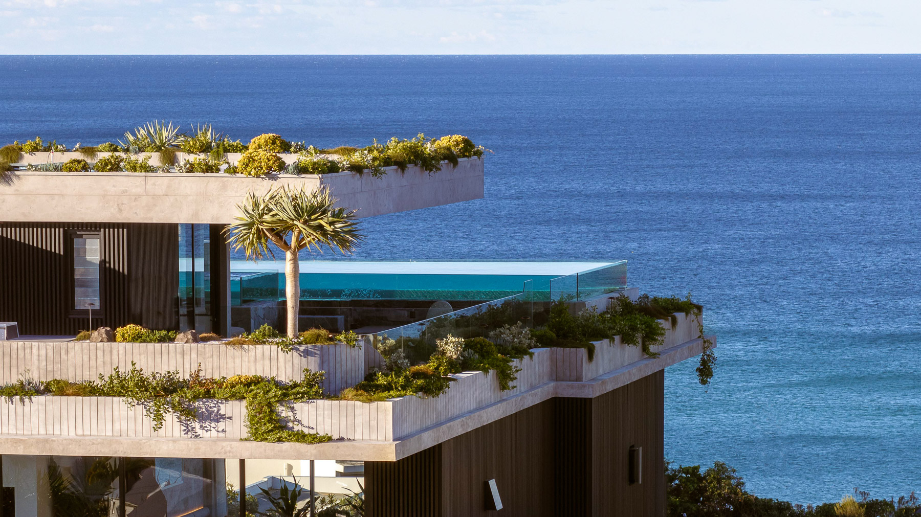 TZ (3).jpg