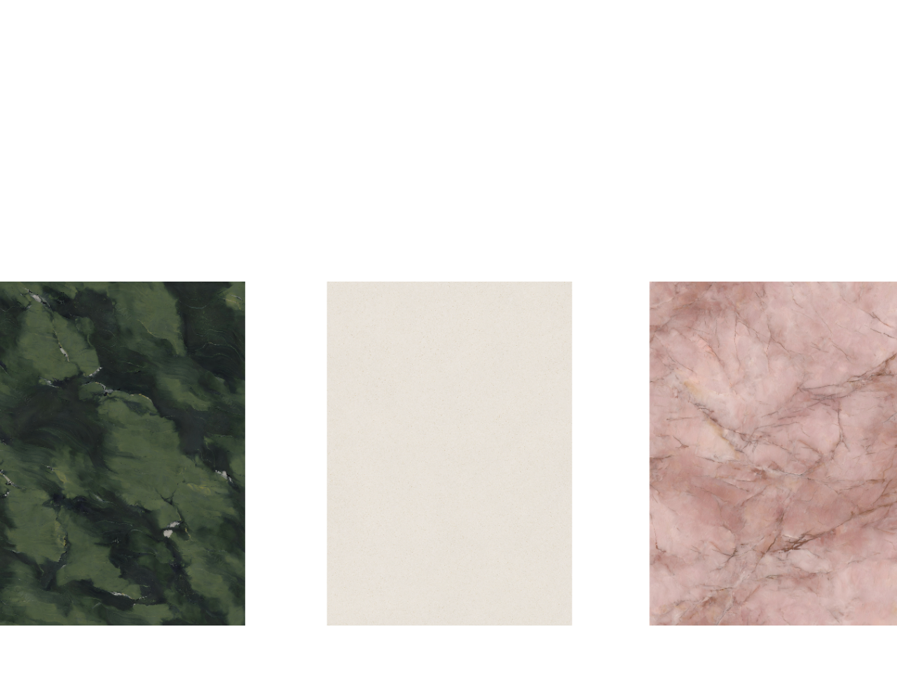 tz (3).PNG