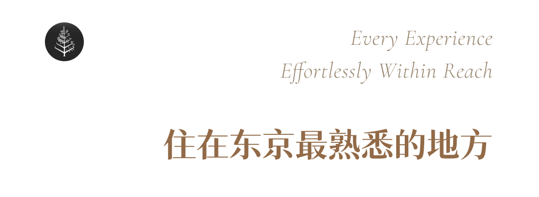 DM_20261019082552_005.PNG