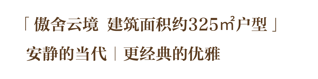tz (2).PNG