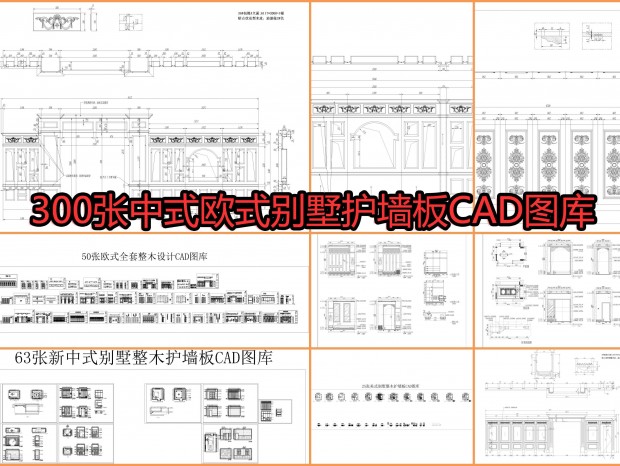 300ʽŷʽǽCADͼ