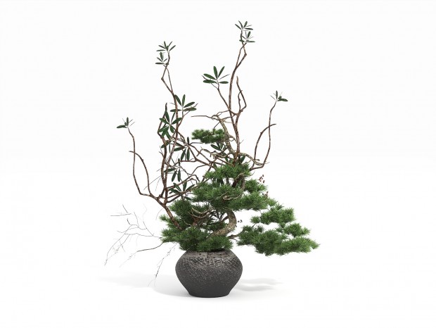 ����ʽ����