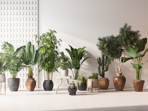 ֲ  չ޻ƿհڼ 辰 su