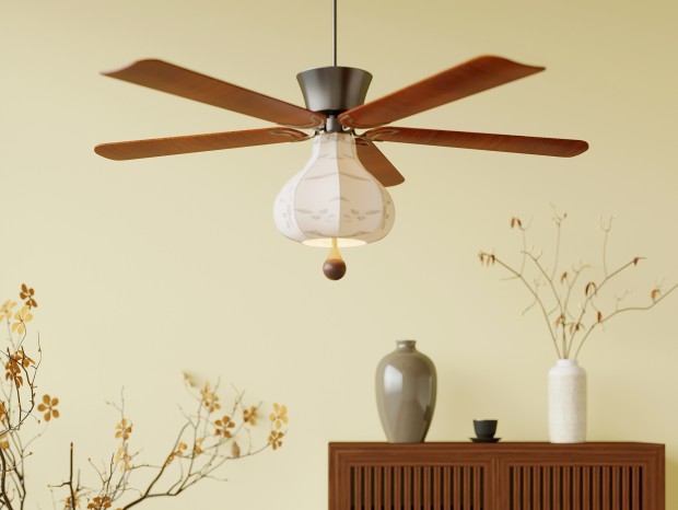 ���ȵ� �йŷ���ȵ� ����